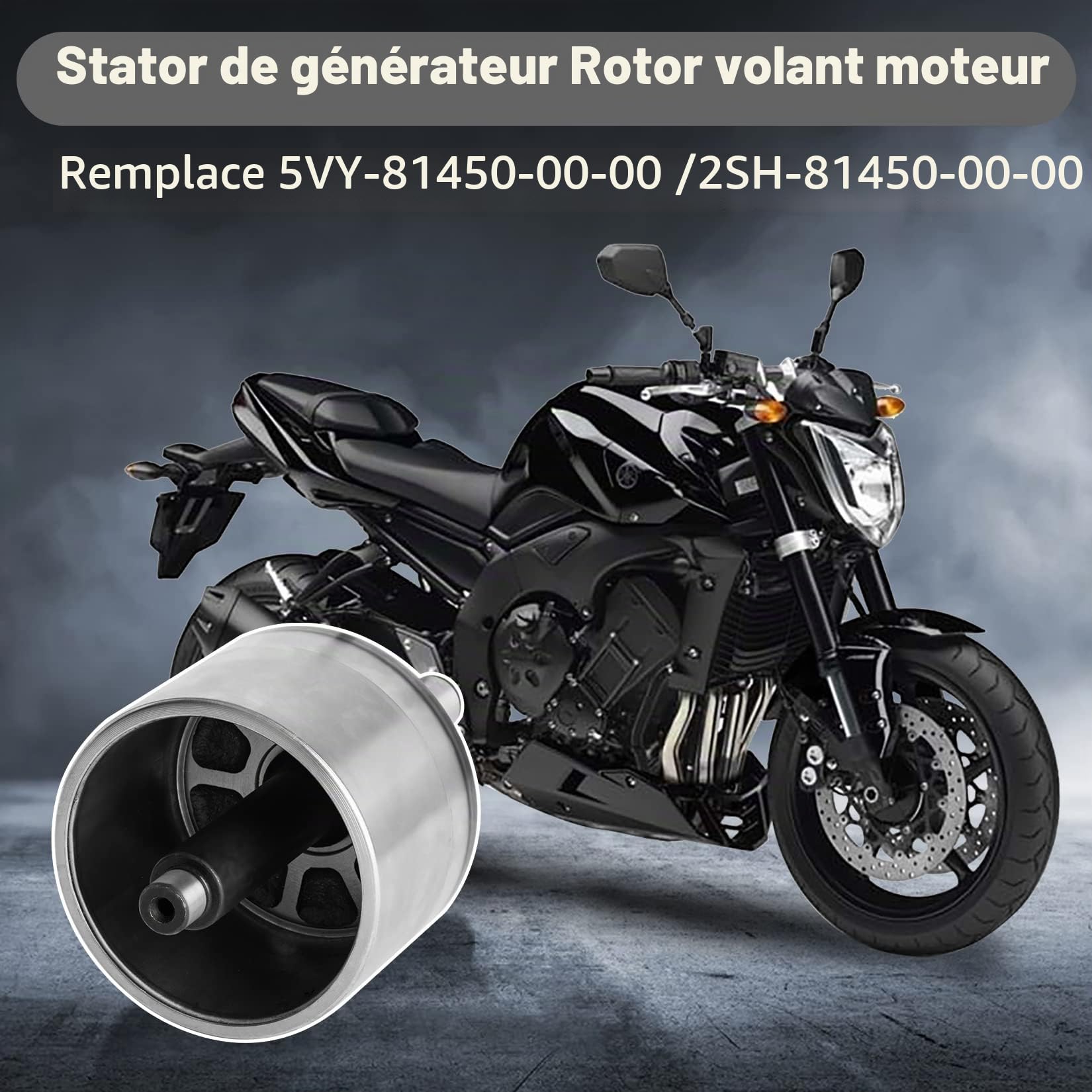 PSLER Rotor de Générateur de Volant D'inertie de Stator pour FZ8 FZ1 YZF R1, Pièces de Rechange de Volant D'inertie de Moto, 2SH-81450-00-00, 5VY-81450-00-00
