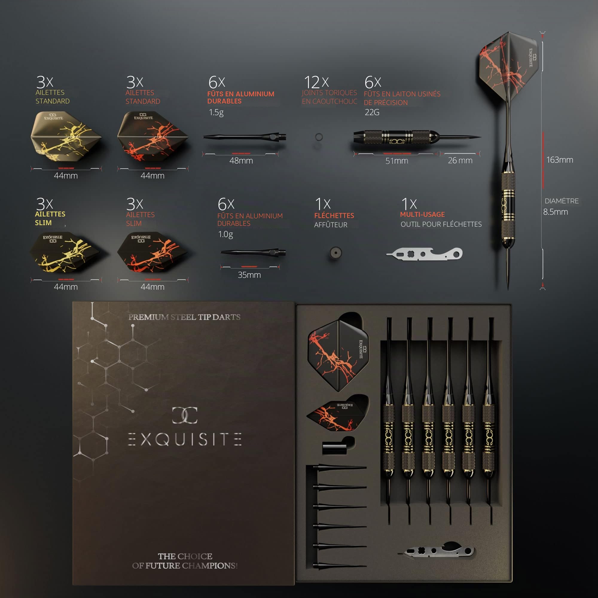 CC-Exquisite Professional Steel Tip Darts Set - 6 x 22g Brass Barrels with 12 Flights Standard/Slim, 12 Aluminum Shafts 35/48mm, 12 O-Rings, Dart Tool, Dart Sharpener and Case……