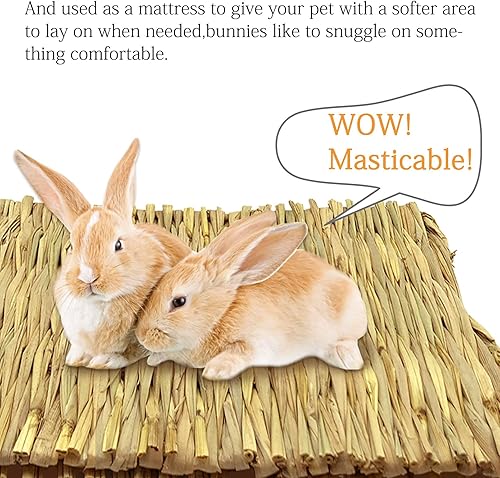 Miniatura 11 de Tfwadmx 22 alfombrillas para cama de mascotas de hierba marina para conejo, 11 x 8.3 pulgadas