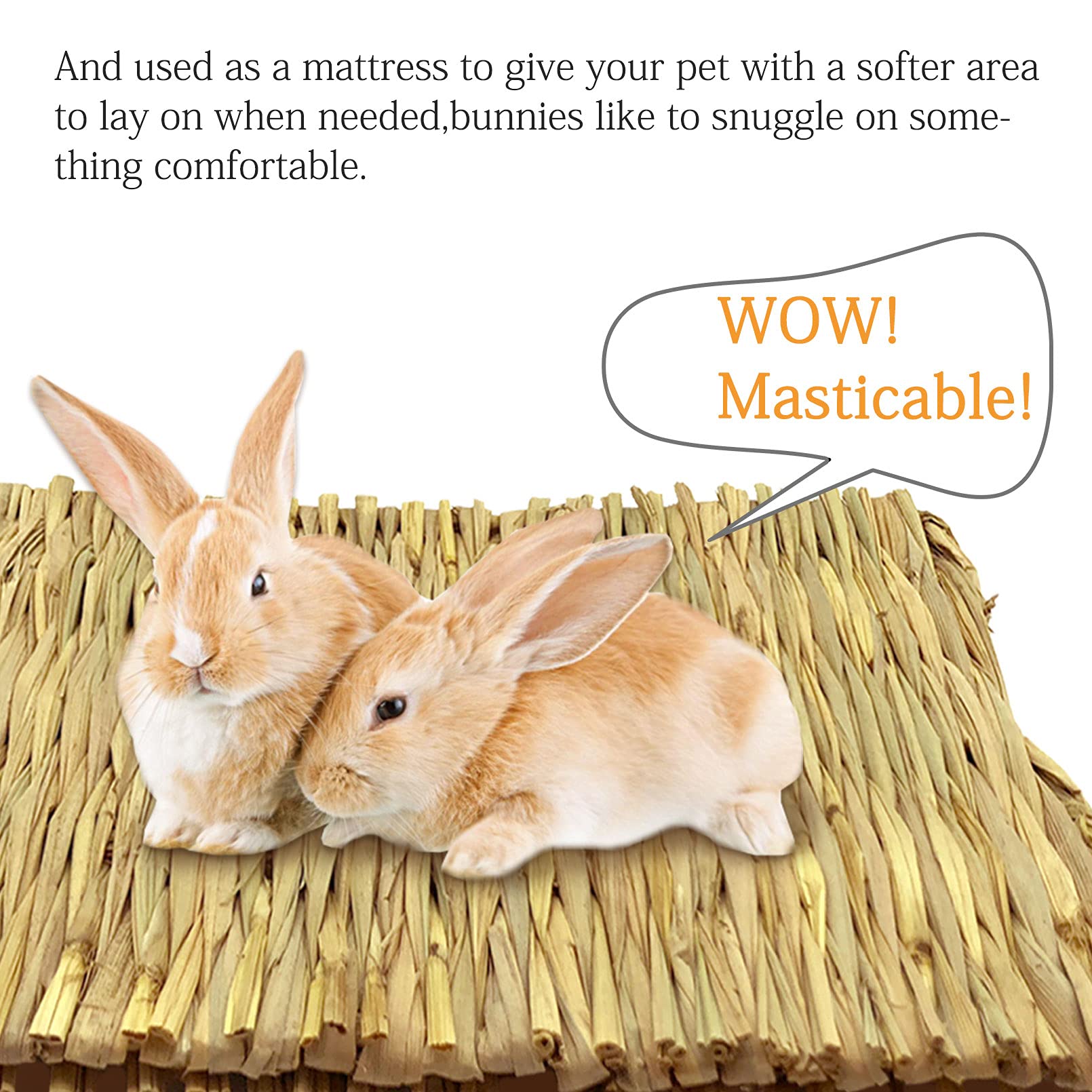 Snapklik.com : Tfwadmx 20 Pcs Bunny Grass Mat Rabbit Natural Straw ...