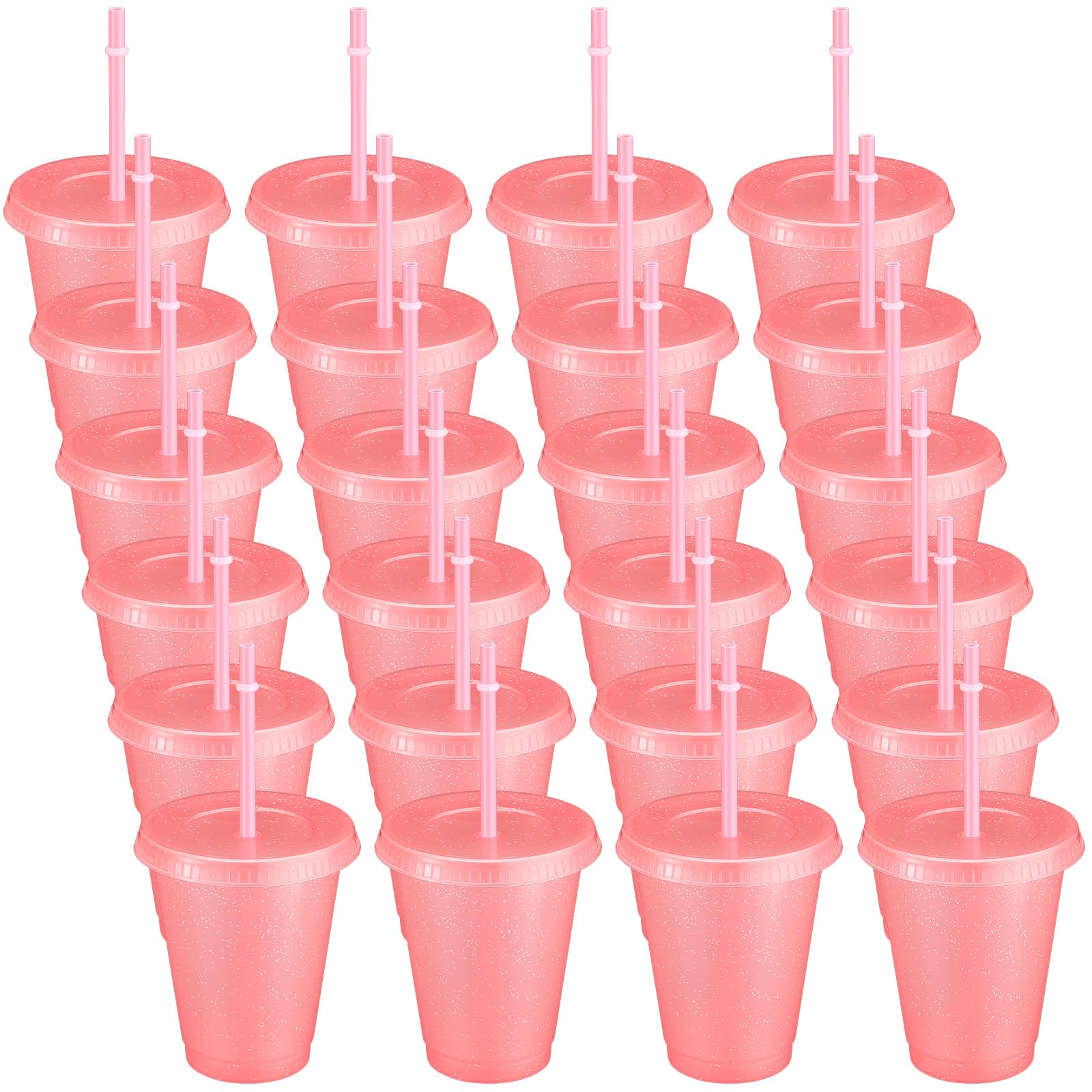 Roshtia 24 Pack Plastic Tumblers with Lid and Straw Reusable Cups Bulk Water Bottles Iced Coffee Travel Mug Cup for Birthdays Party Juices Adults Kids