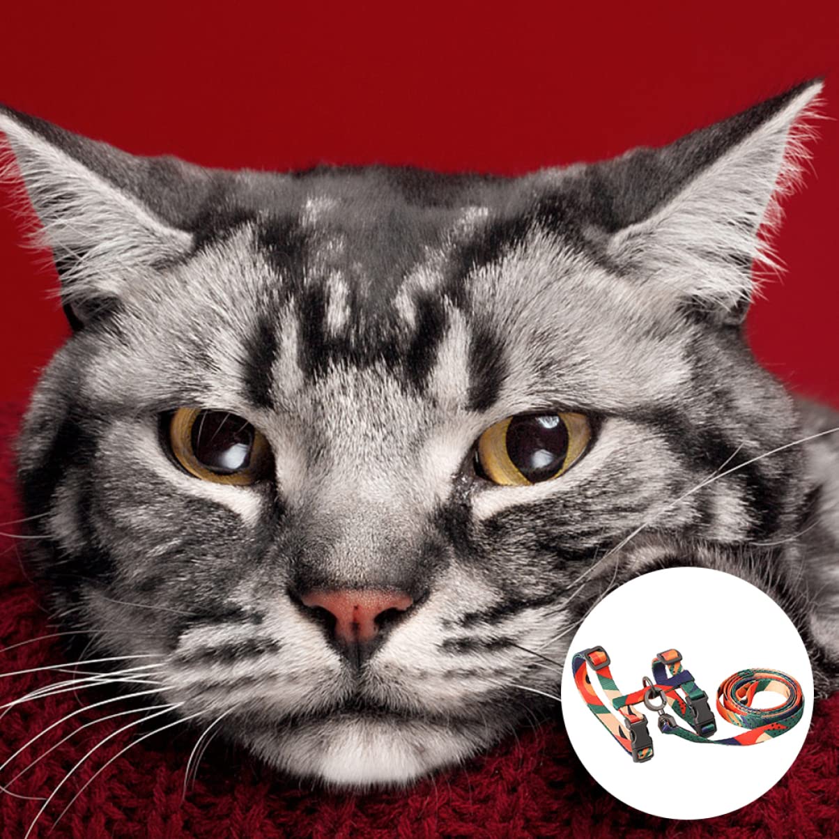 DOITOOL 3pezzi Per Gatti Con Guinzaglio Pet Supplies Per Passeggiate Sicure e Confortevoli Design Per Massima Libertà Di Movimento