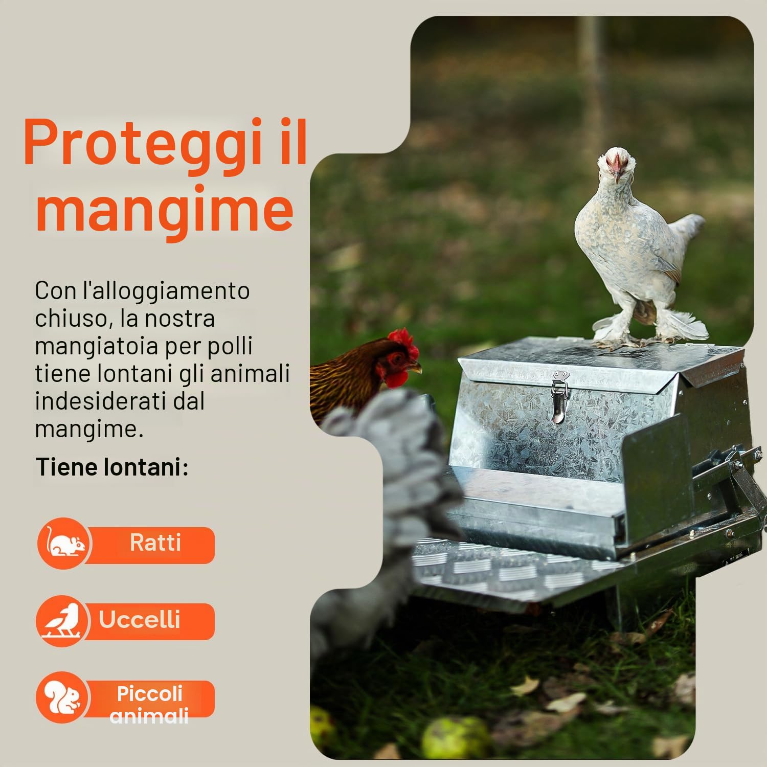 SuperHandy Mangiatoia per polli Mangiatoia per polli automatica con capacità di 9 kg Mangime 6-12 pollame/pollame Fino a 10 giorni Mantieni asciutto