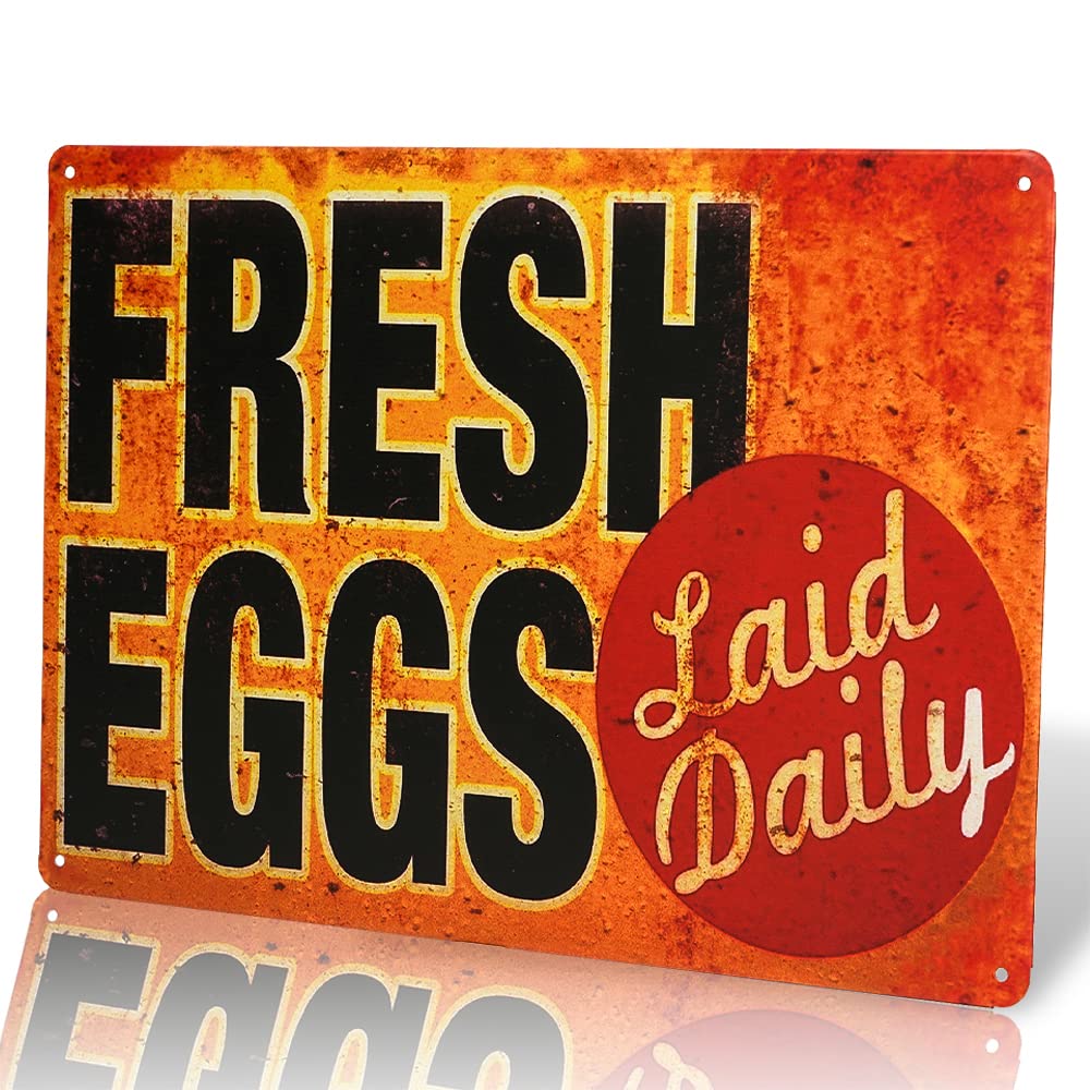 Vintage Metal Tin Sign - Fresh Eggs Daily Decor Art Chicken Coop Kitchen Cottage Farm 12x8 Inches Custom Private Property Signs Outdoor