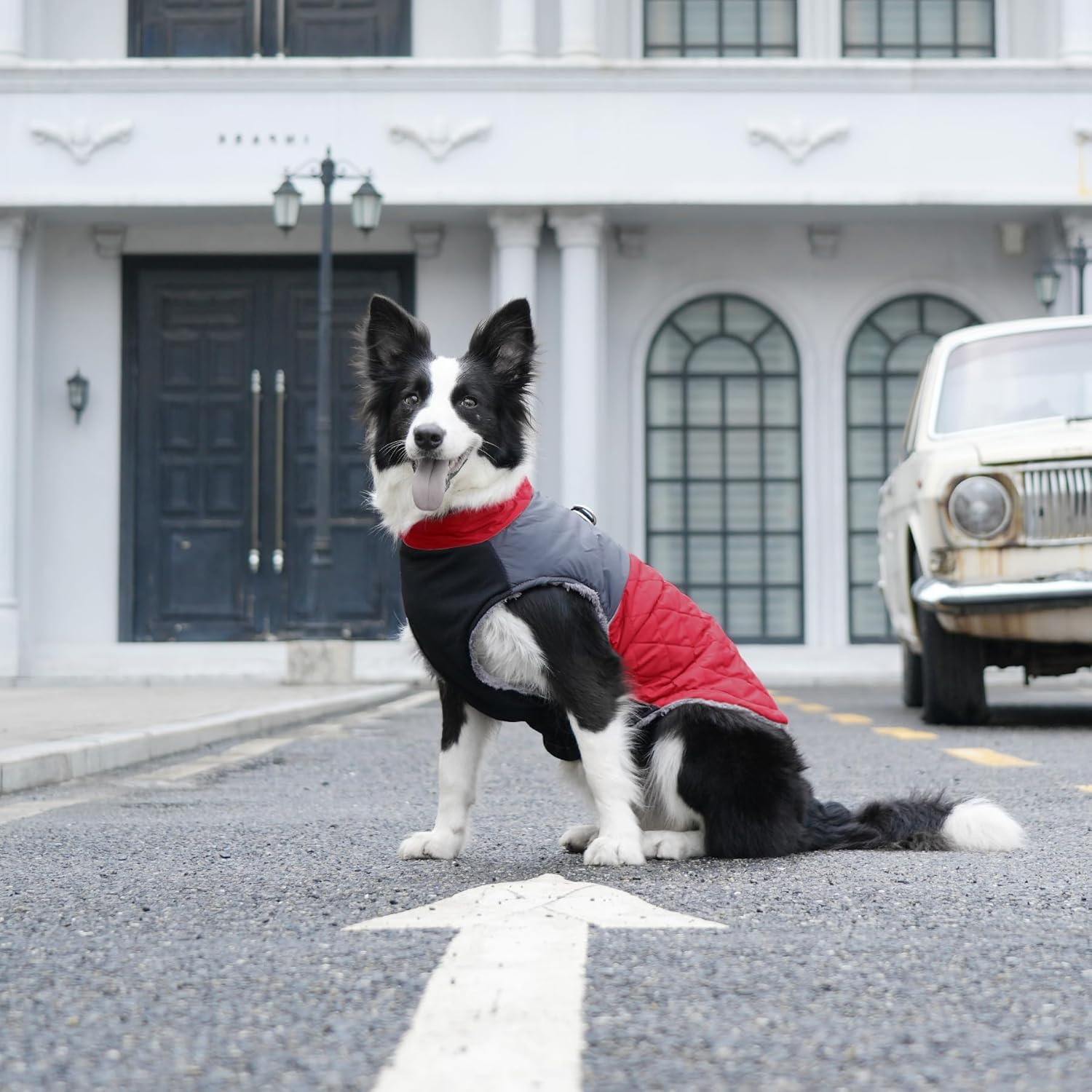 Warm Fleece Dog Coats for Small Dogs,D-Rings Waterproof Puppy Jacket for Cold Winter,Red XS - Image 9