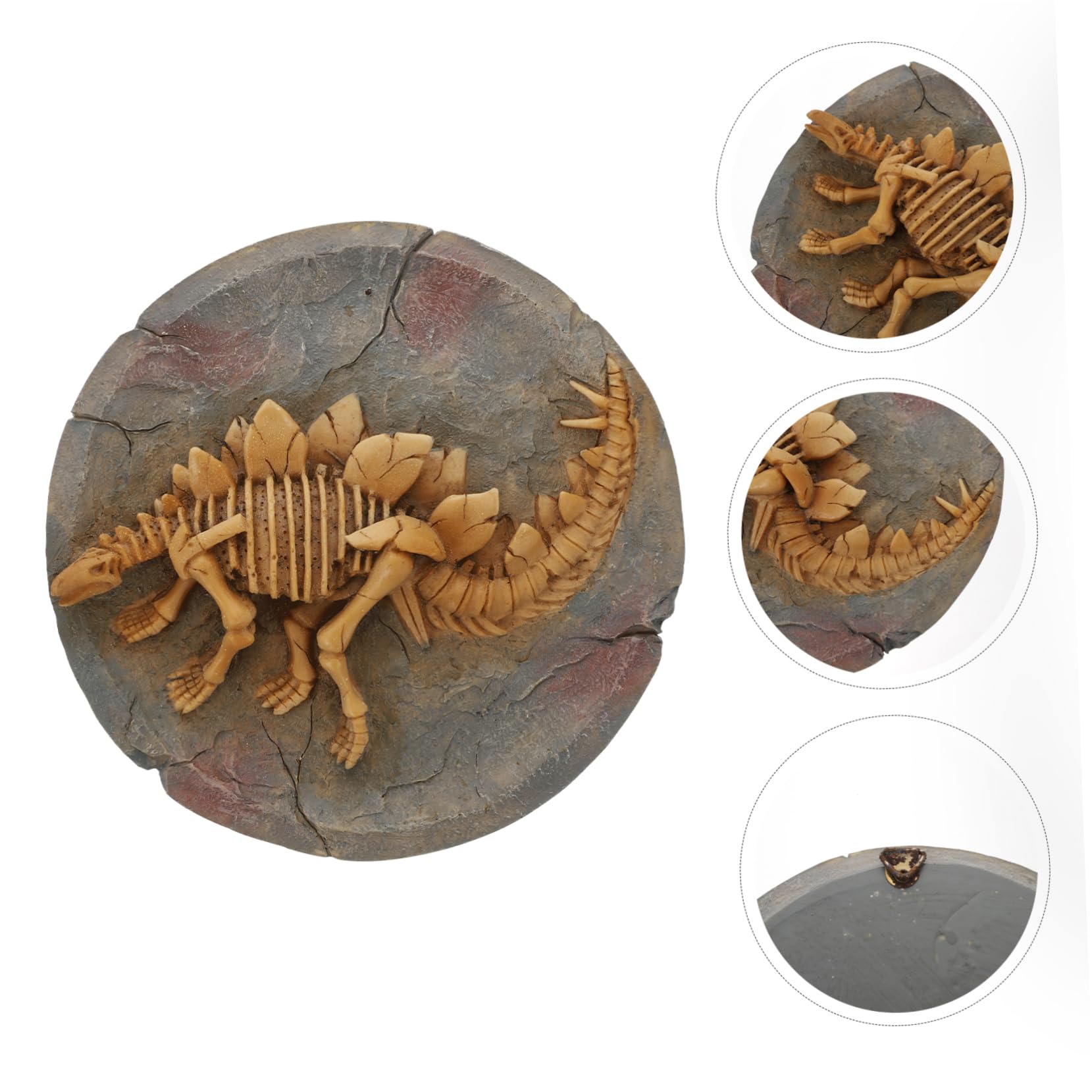 CIYODO Riproduzione Realistica e Artistica di Dinosauro Stegosauro in Resina Arancione Decorazione da Parete per Spazi Interni e Soggiorno