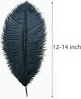 Vista 118 de 24 piezas de plumas de avestruz blanco natural de 10-12 pulgadas (25-30cm) para centros de mesa de bodas y fiestas, arreglos florales y decoración