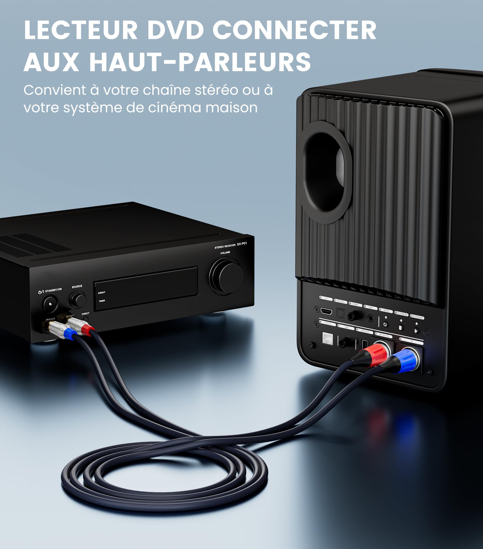 Tisino Câble double RCA vers XLR, 2 RCA vers 2 XLR mâles HiFi stéréo connexion microphone câble câble de chemin - 1 m