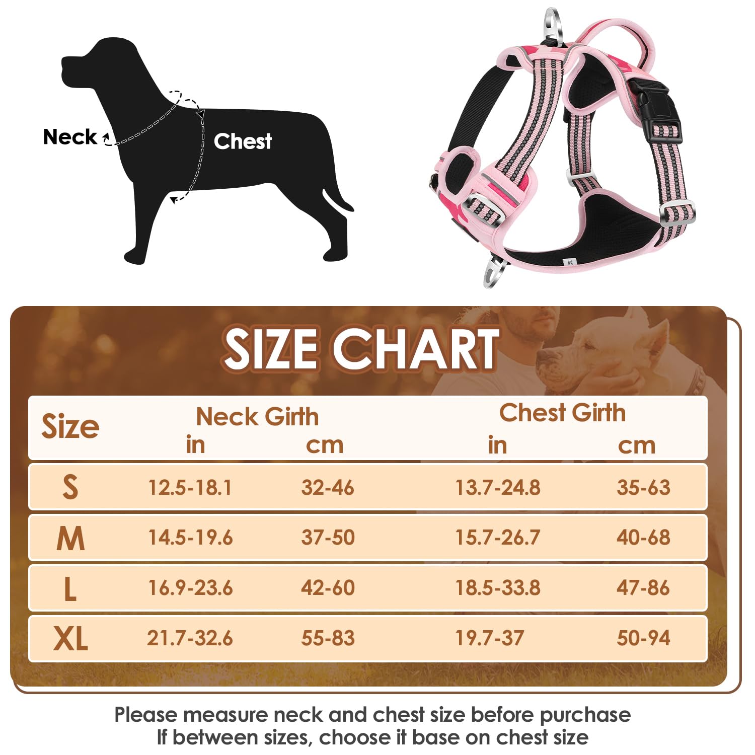 Eyein Dog Harness Small Dog, Anti Pull Adjustable Heavy Duty Pet Vest Harness with 2 Clips - Image 2