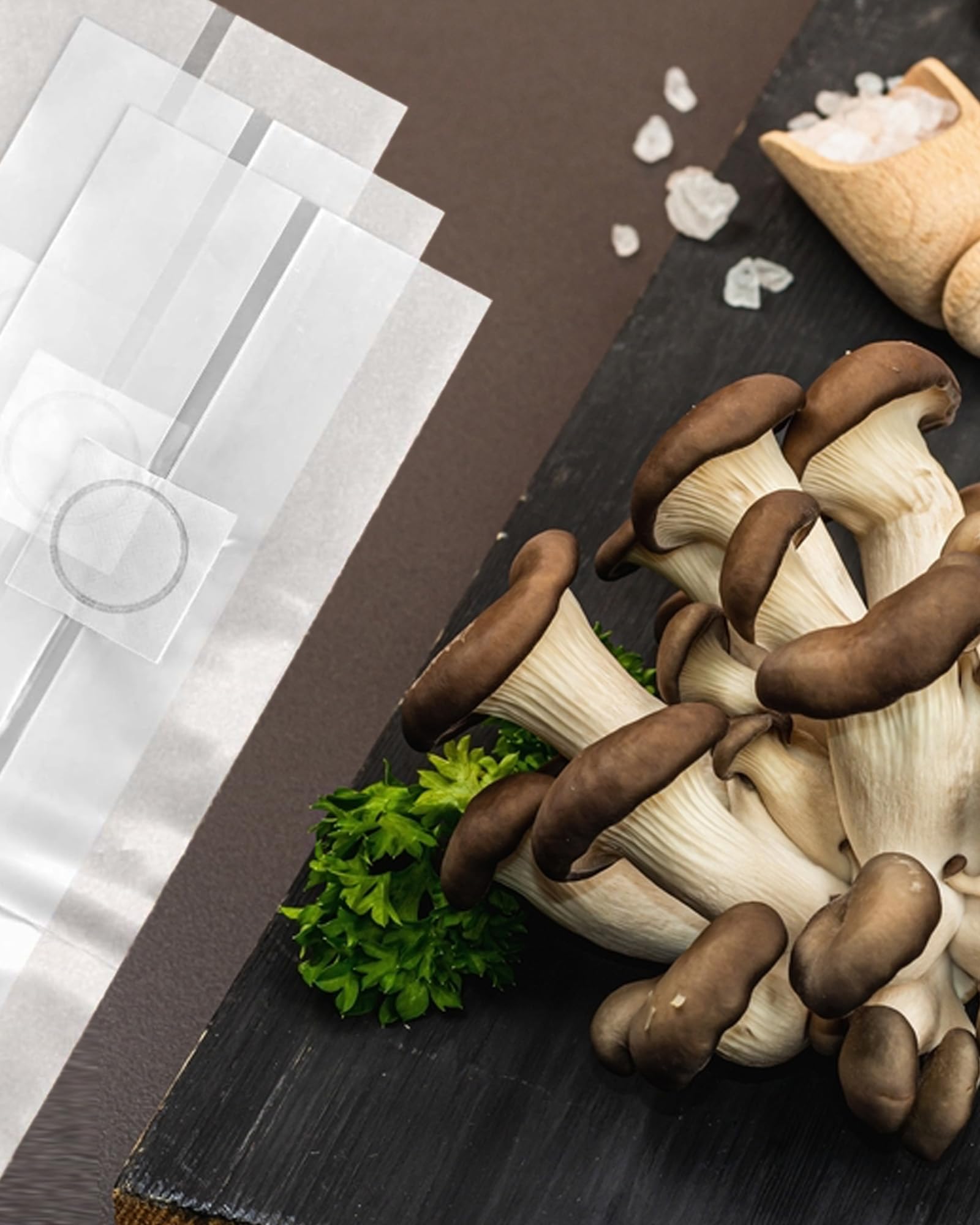 Lot de 50 sacs de culture de champignons : sacs de culture de champignons transparents pour champignons, Enoki, Shiitake, céréales, pleurotes (32 x 50 cm)