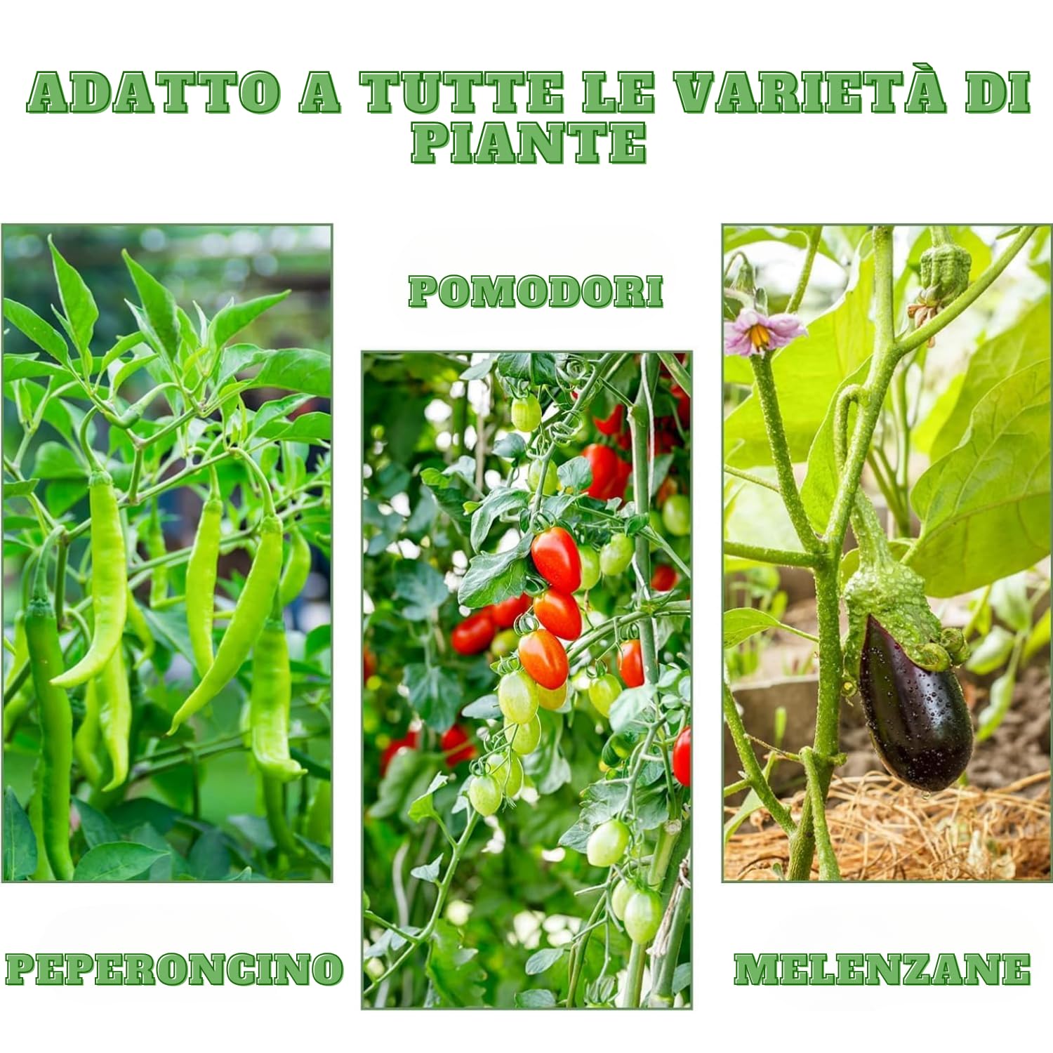 Bastoncini Supporto Piante Rampicanti Set 25 Cannette Acciaio Plastificato Bastone 1,6 Ø x 180 cm Tutore Verde Giardino Orto Pomodori Melenzane