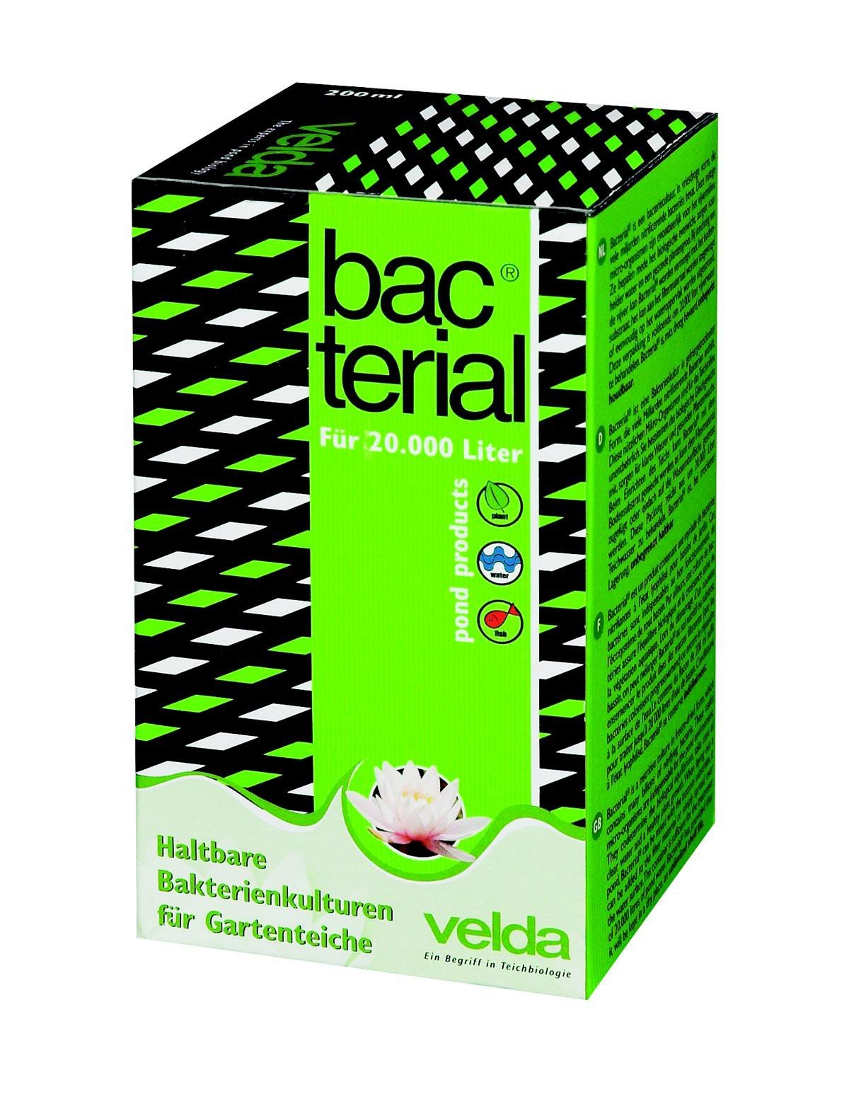 Velda 122636 kultury bakterii do stawu o pojemności 100 000 l, suszone na zamrażarce, Bacterial, 1000 ml