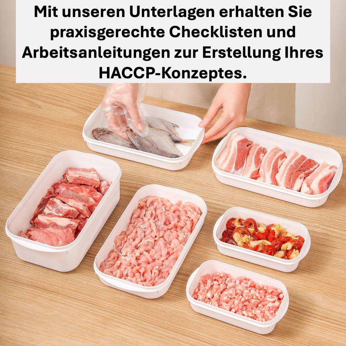 Hygiene Netzwerk HACCP-Konzept für Gastwirte | Checklisten & Arbeitsanweisungen | Hotel Gastronomie| Hygieneschulung | Infektionsschutzgesetz Schulung | Power-Point-Präsentation auf CD oder USB-Stick