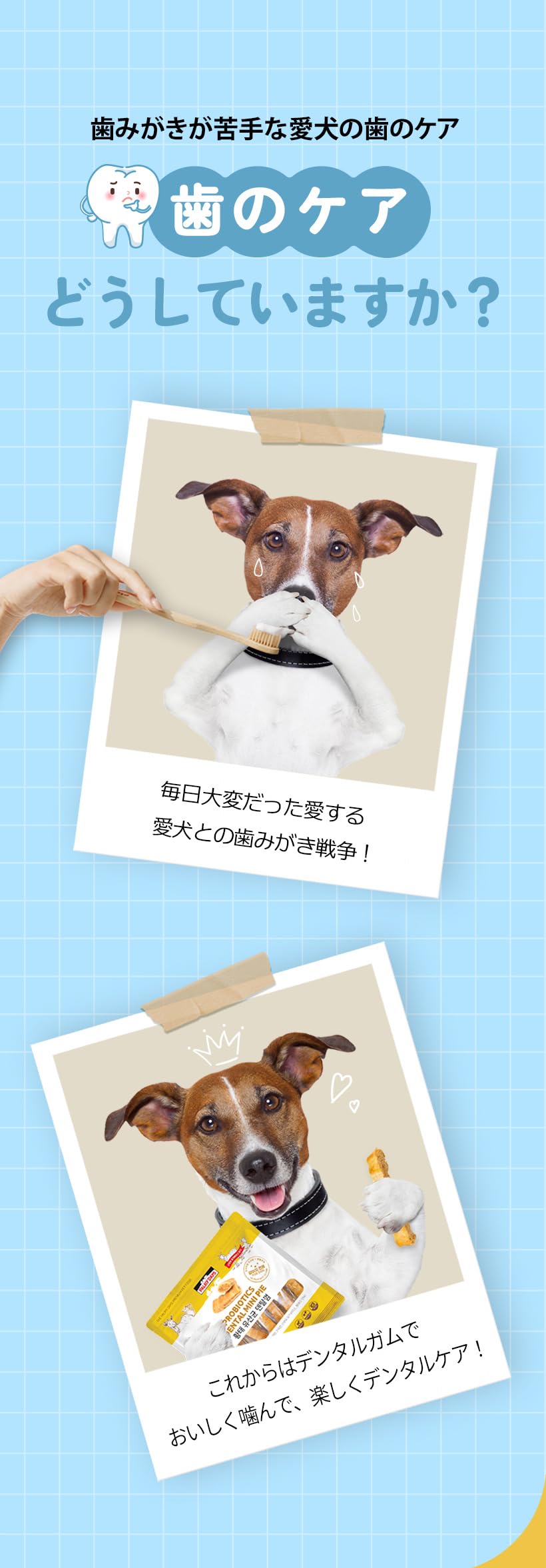 Amazon.co.jp: 犬用 PALMY DAYS 乳酸菌入りデンタルパイ (480g x 30個