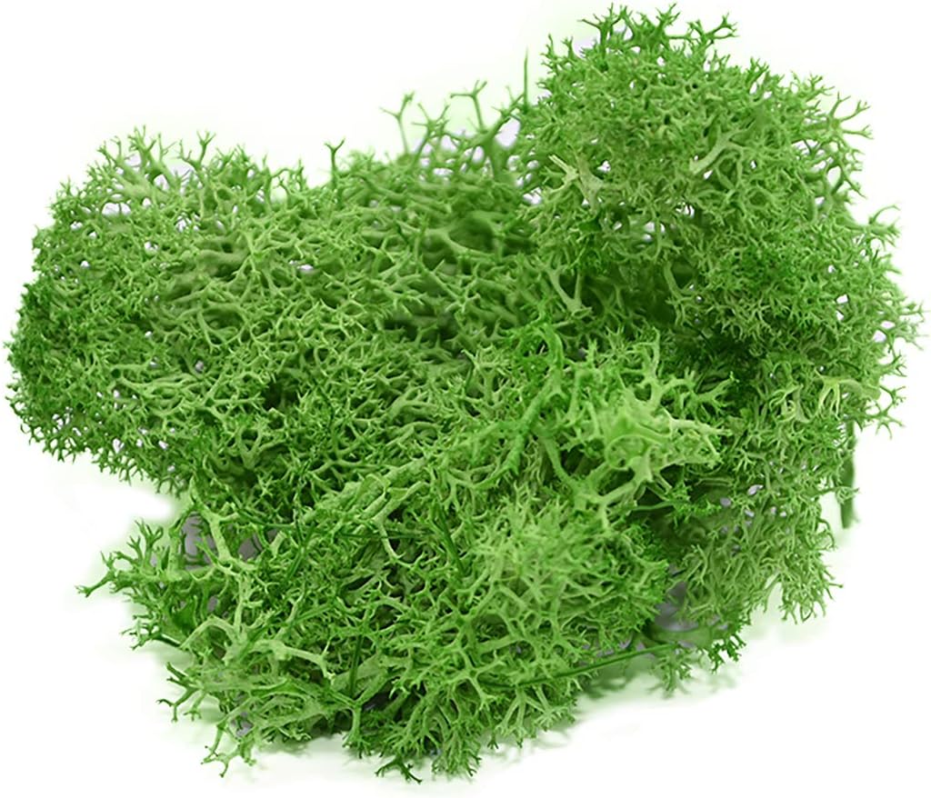Queenbox 0.7oz/20g Artificial Moss for Indoor, Resin Fake Plants Greenery Wall Lawns Turf Carpets for Floral Panel, Home, Craft Decor, T08