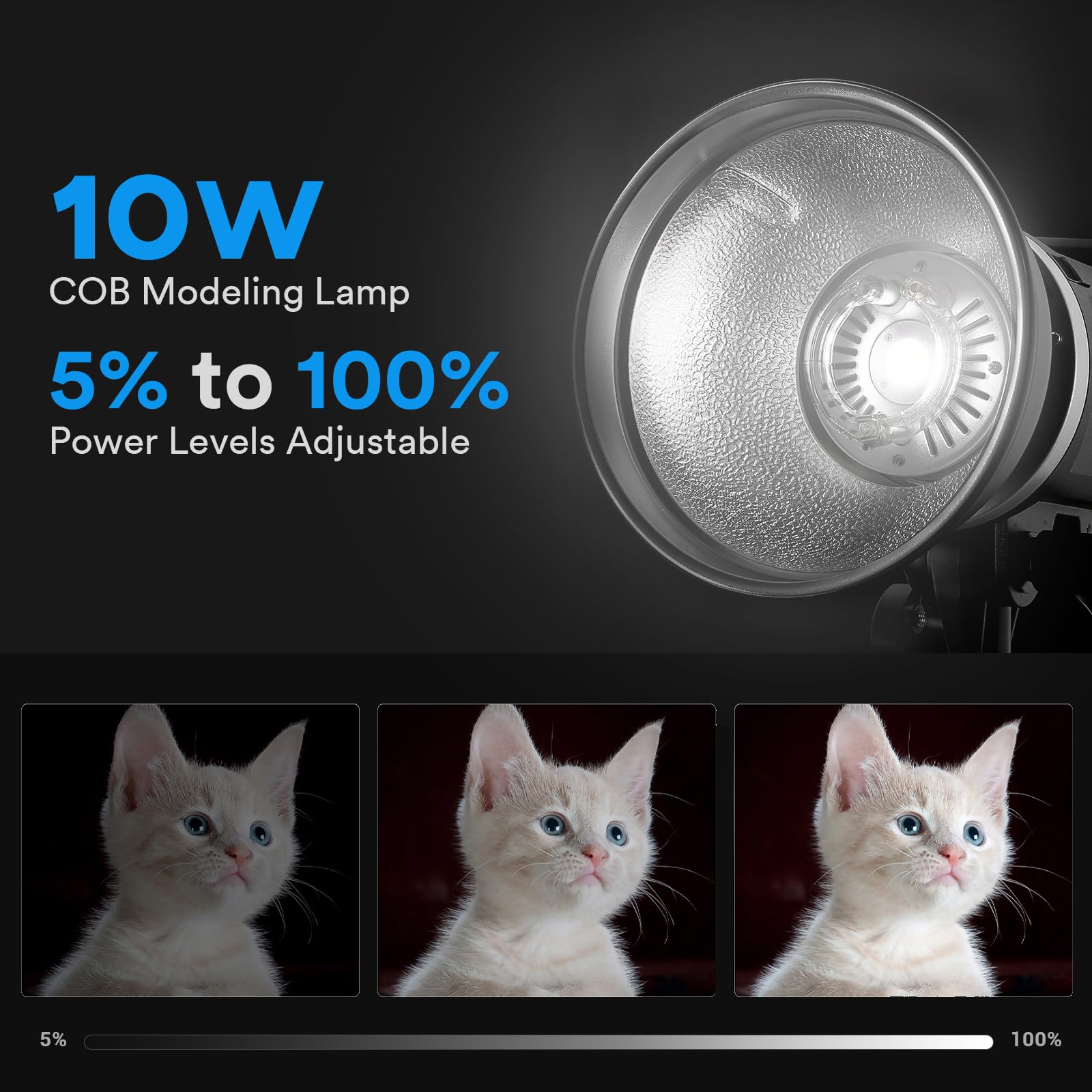 Godox MS300V MS300-V Studio Flash, sistema wireless 2.4G, Tempo di Ricarica 0.1-1.3s, Bowens Mount, Monoluce 300Ws con Regolabile LED Modellabile Lampada per fotografia di ritratto in studio