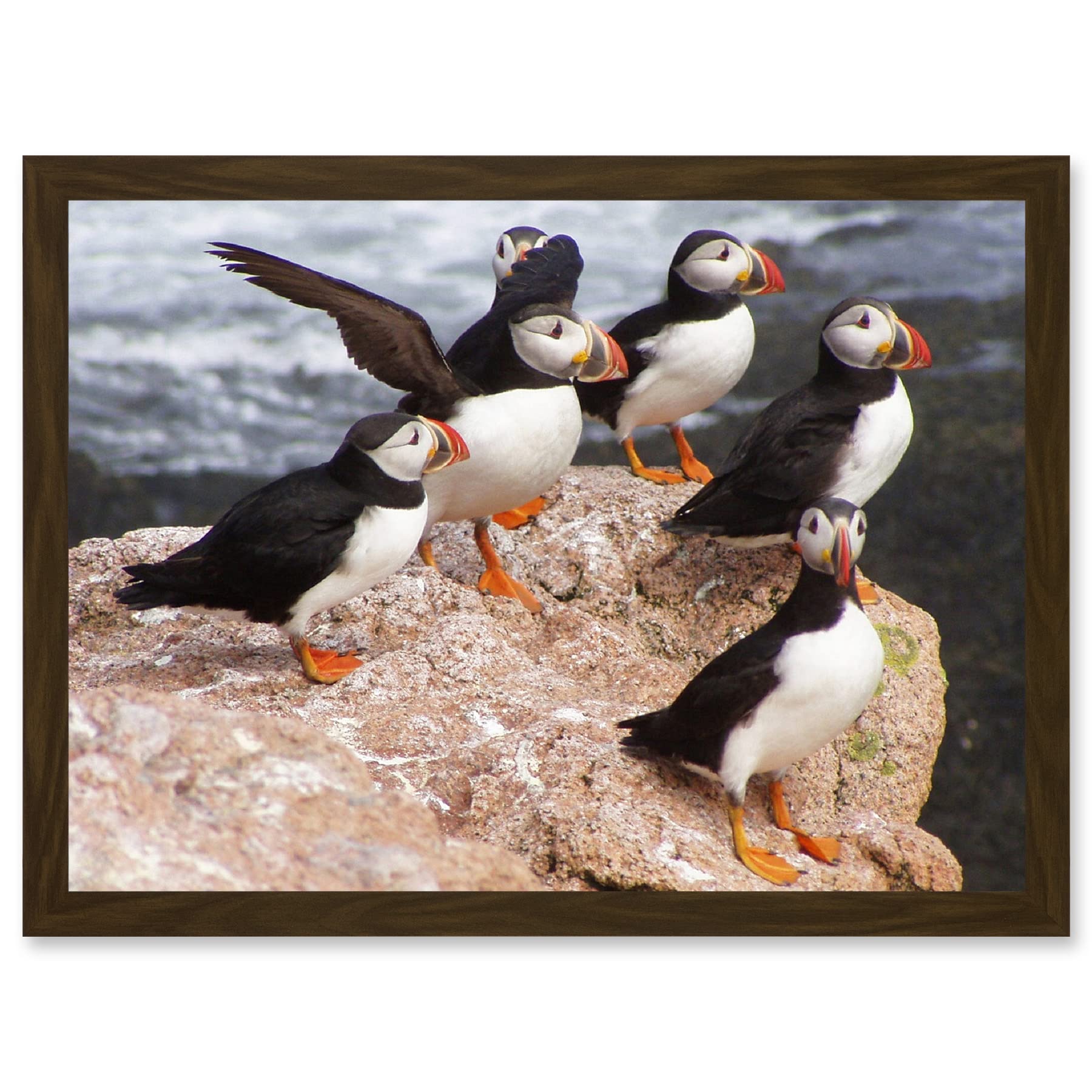 Artery8 Animal North Atlantic Puffins Birds Beach Edge of Ocean Rock Artwork Framed Wall Art Print A4