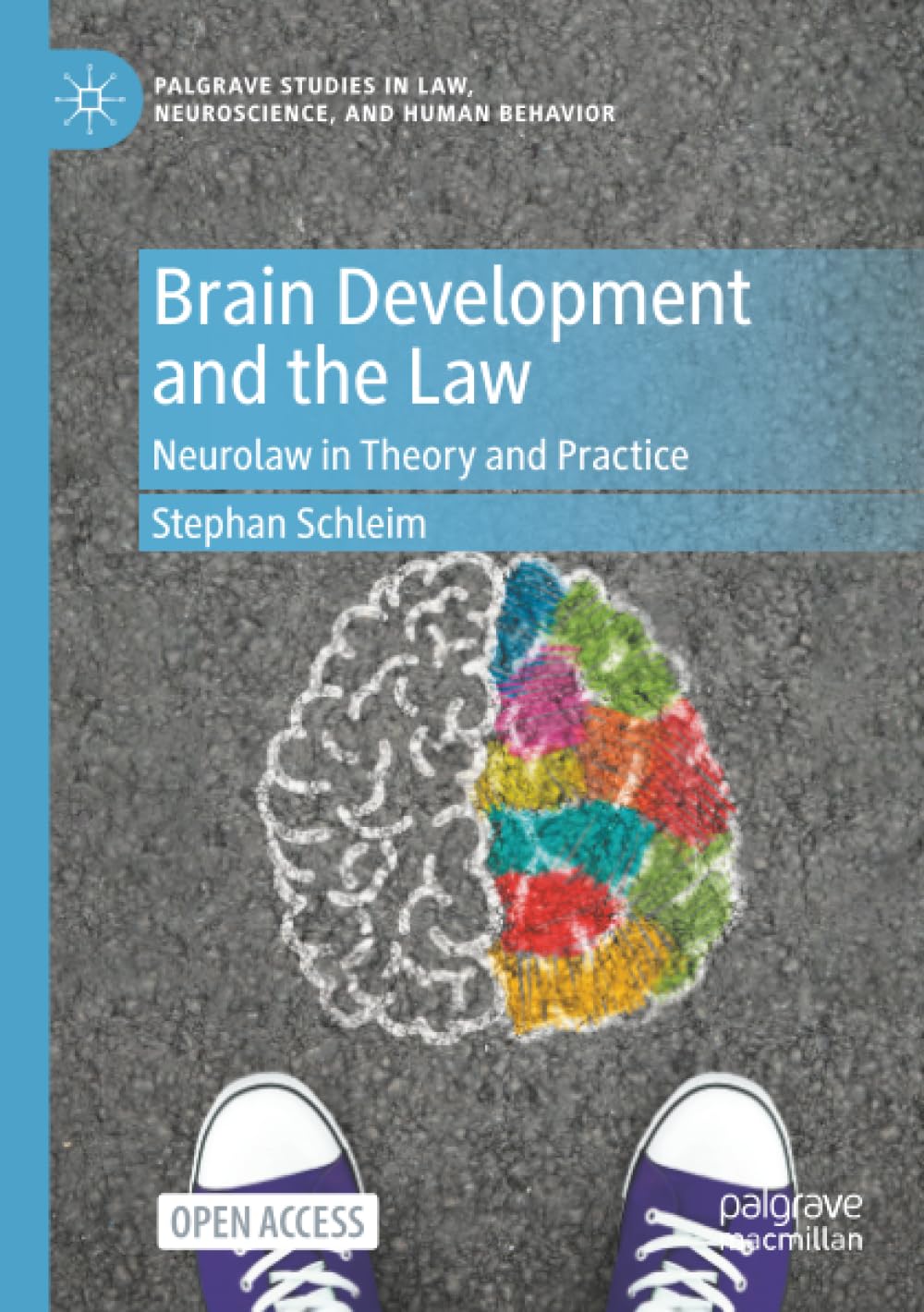 Brain Development and the Law: Neurolaw in Theory and Practice (Palgrave Studies in Law, Neuroscience, and Human Behavior)