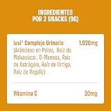 Ver la foto 6