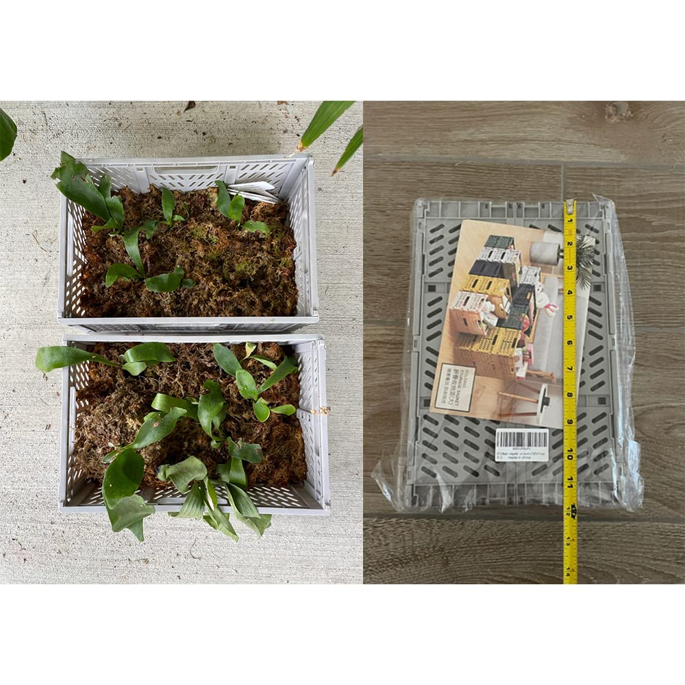 Składane plastikowe pojemniki do przechowywania z uchwytem do kuchni, klasy, biura, toaletki, łazienki, ścianka działowa (30 x 20 x 12,7 cm) - zestaw 2 szt., szare