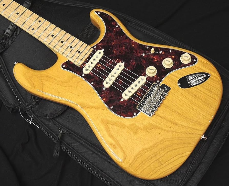 FGN ストラトキャスターFujigen Neo Classic WB FUJIGEN FGN NST110RAL OTM Neo Classic SERIES SSH フジゲン