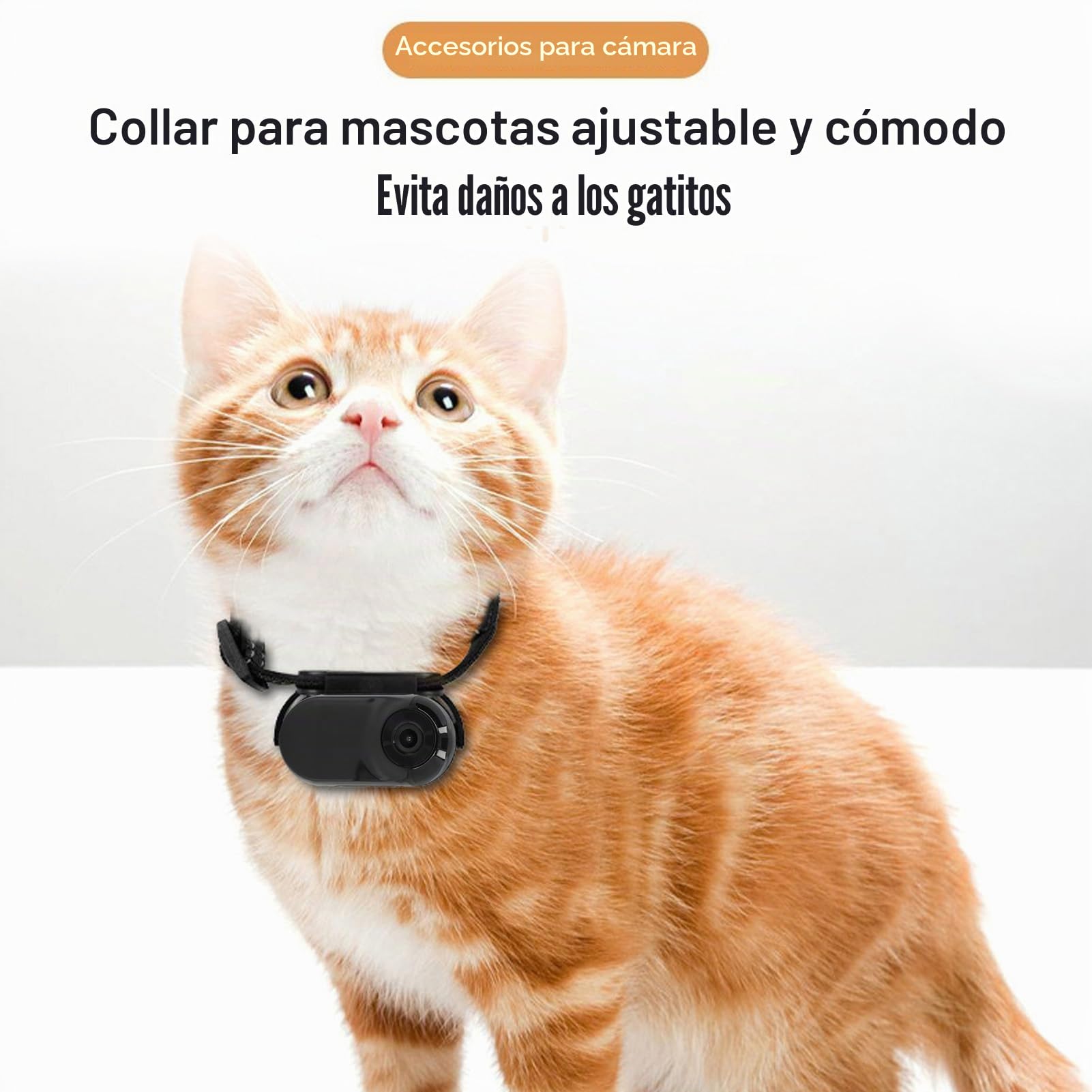 Cámara con Collar para Gatos, Collar Rastreador de Perros HD 1080P, Mini Cámara de Acción para Grabaciones de Vídeo en Interiores/Exteriores, Suministros para Mascotas (Black)