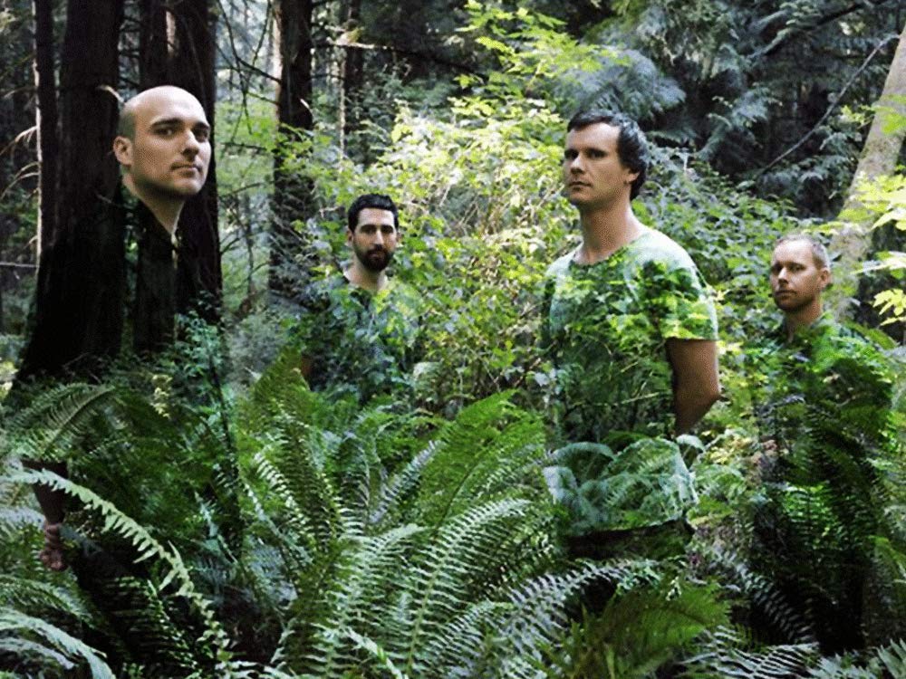 Sunny Day Real Estate