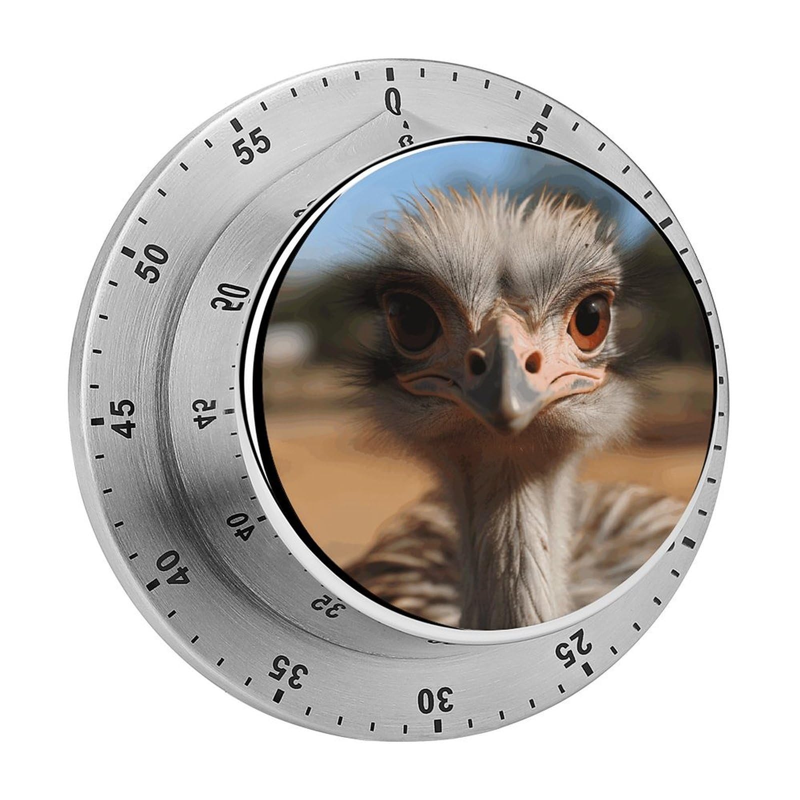 Cute Ostrich Visual Timer Cute Desk Timers No Batteries Required Magnetic Indoor Countdown Timers Loud Alarm Exquisite Manual Time Timer Clock for Gift