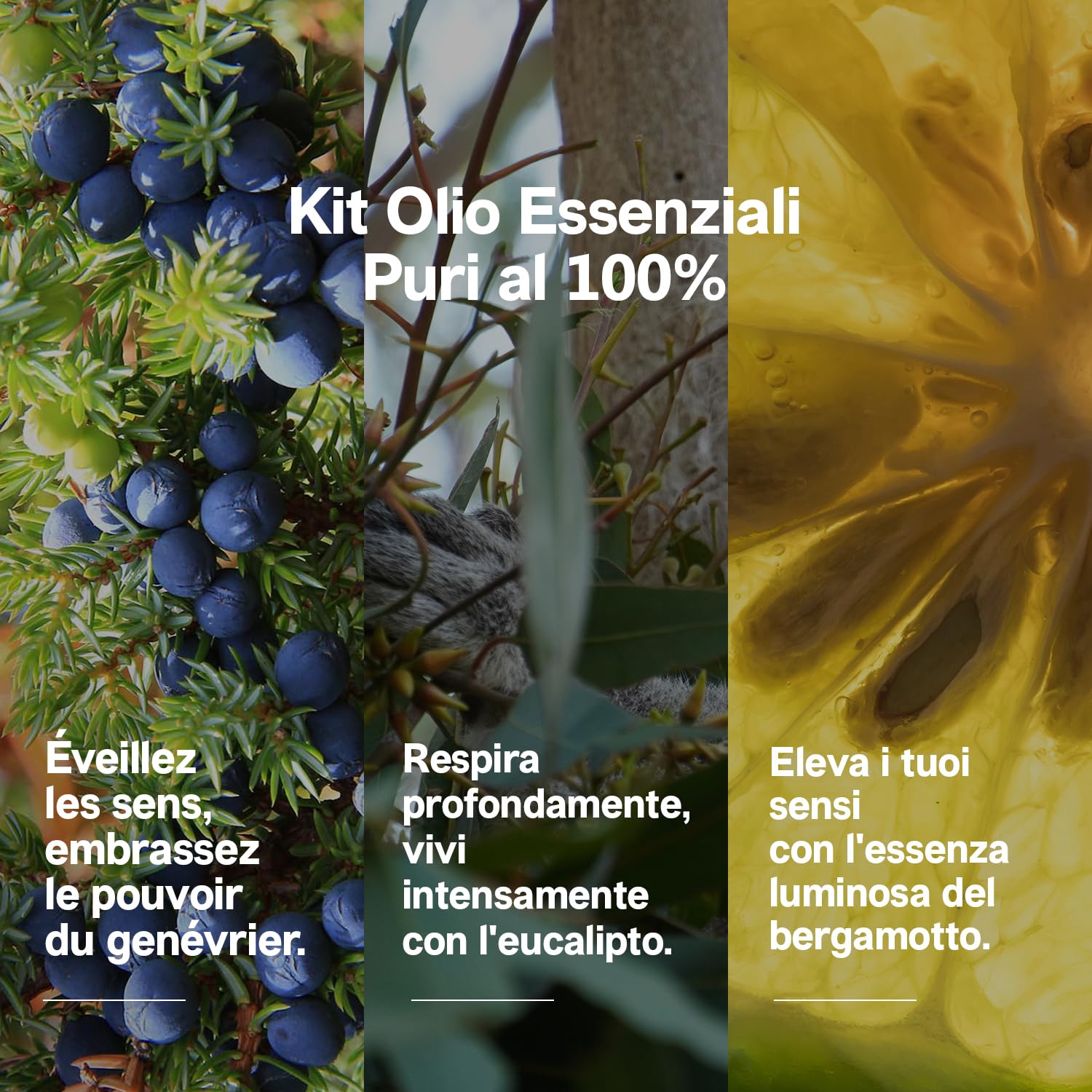 Set di Oli Essenziali Naturali per Aromaterapia | Fragranza Ambiente | Anice stellato | Cajeput | Incenso/Franchincese | Ginepro Bacche | Bergamotto | Eucalipto | Ideale Per Diffusore.