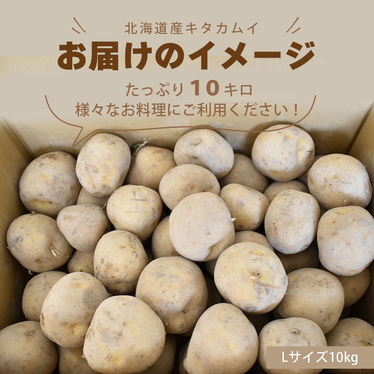 Amazon.co.jp: 北海道産 じゃがいも キタカムイ 10kg (3Lサイズ
