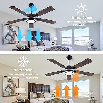 A.H.P.L BONFEUR & TWO FACE 2017 No.5 オバケ Amazon.com: QUTWOB 52