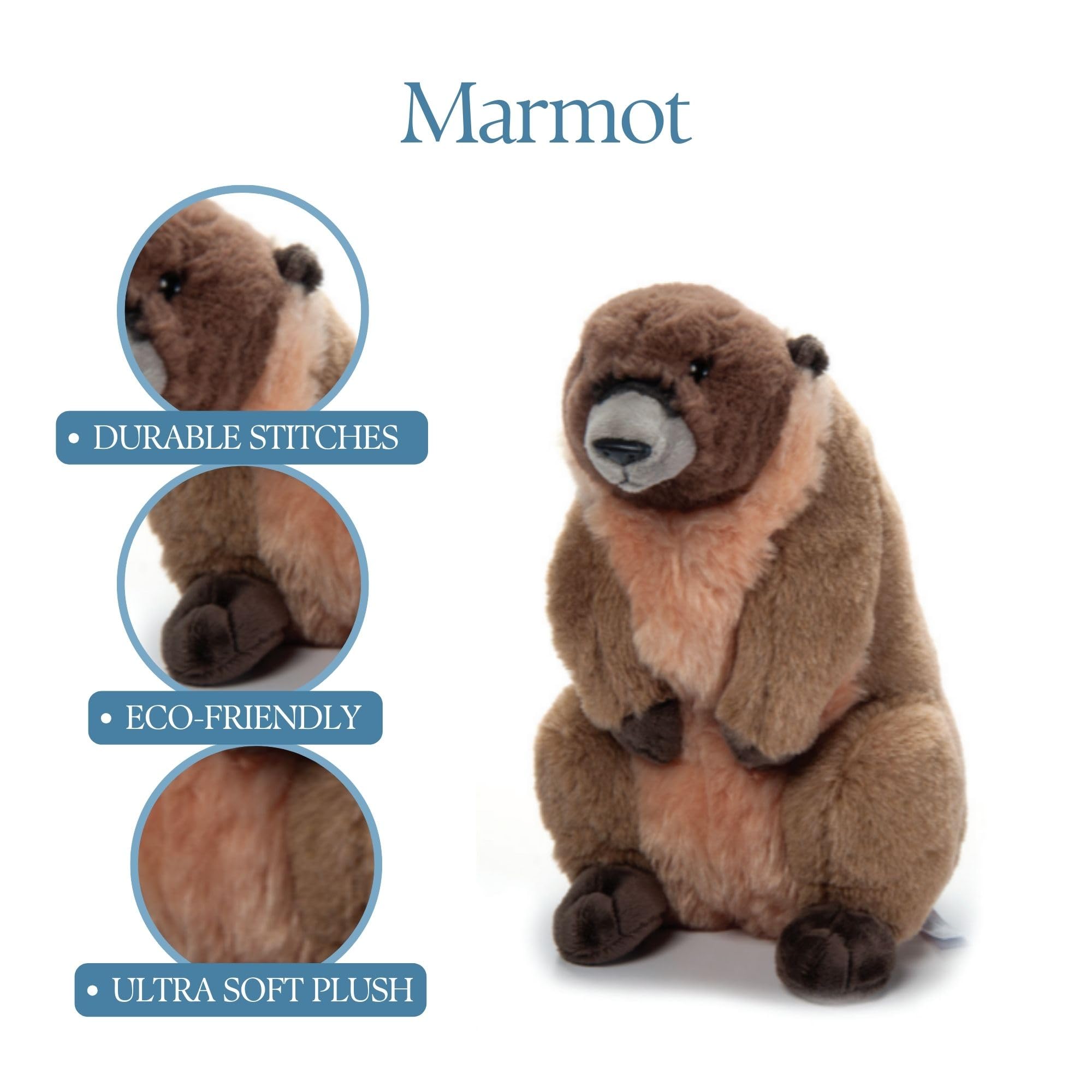 Amazon.com: The Petting Zoo Marmot Stuffed Animal Plushie, Gifts