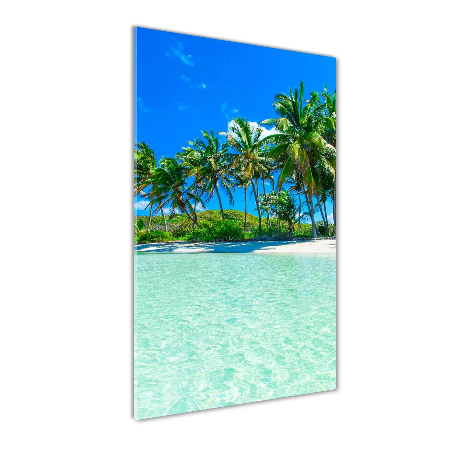 Crédence de cuisine en verre trempé 70x140 cm Tulup décor tropical