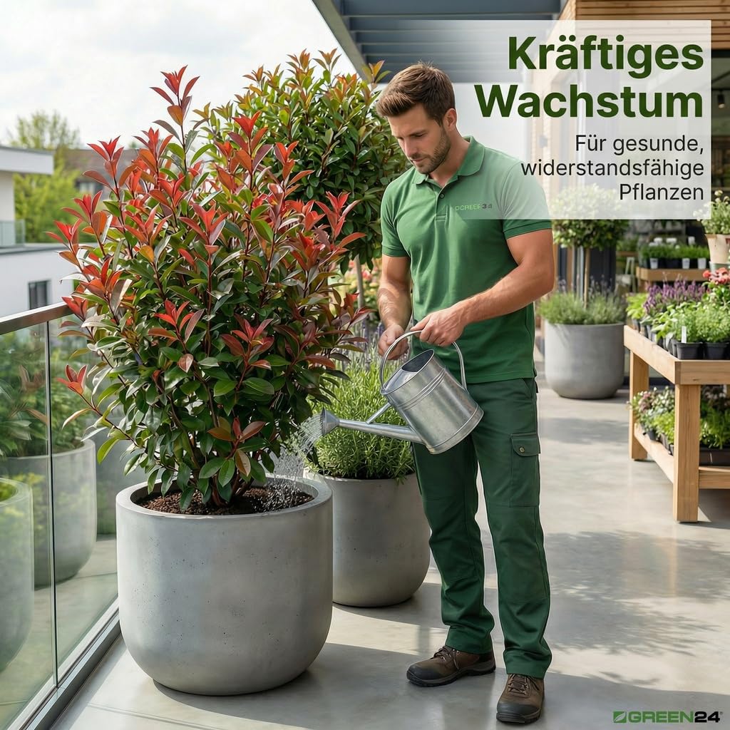 Photinia-Dünger XL 1 Liter Pflanzen Dünger für Glanzmispel Lorbeermispel Photinien