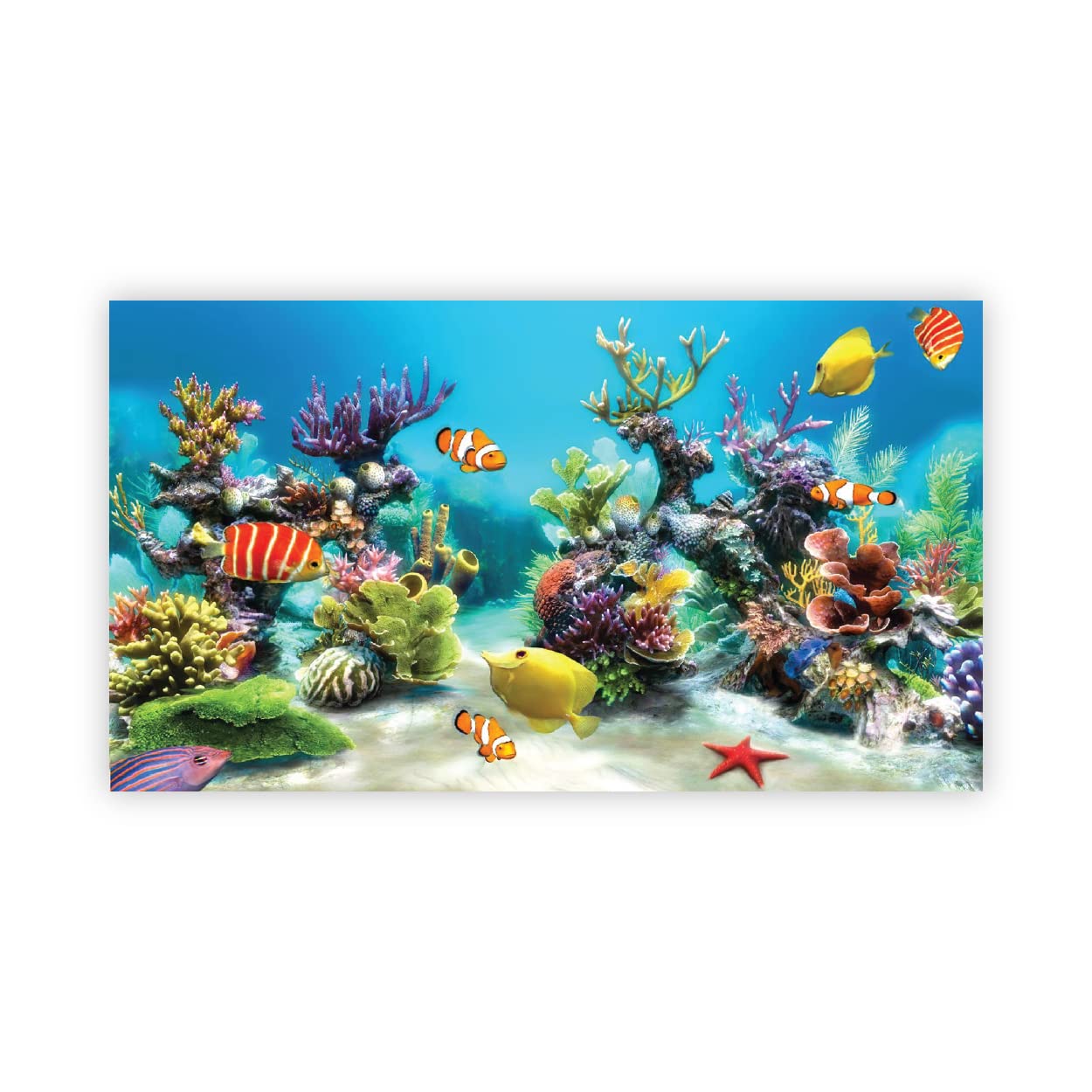 VVWV® Aquirium Background Fish Tank Stickers Waterproof Vinyl Printed Sticker Multicolored 61 X 41 CMS (B0BW49JZGM) Amazon Price History, Amazon Price Tracker