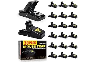 Mouse Traps, Small Rat Traps That Work