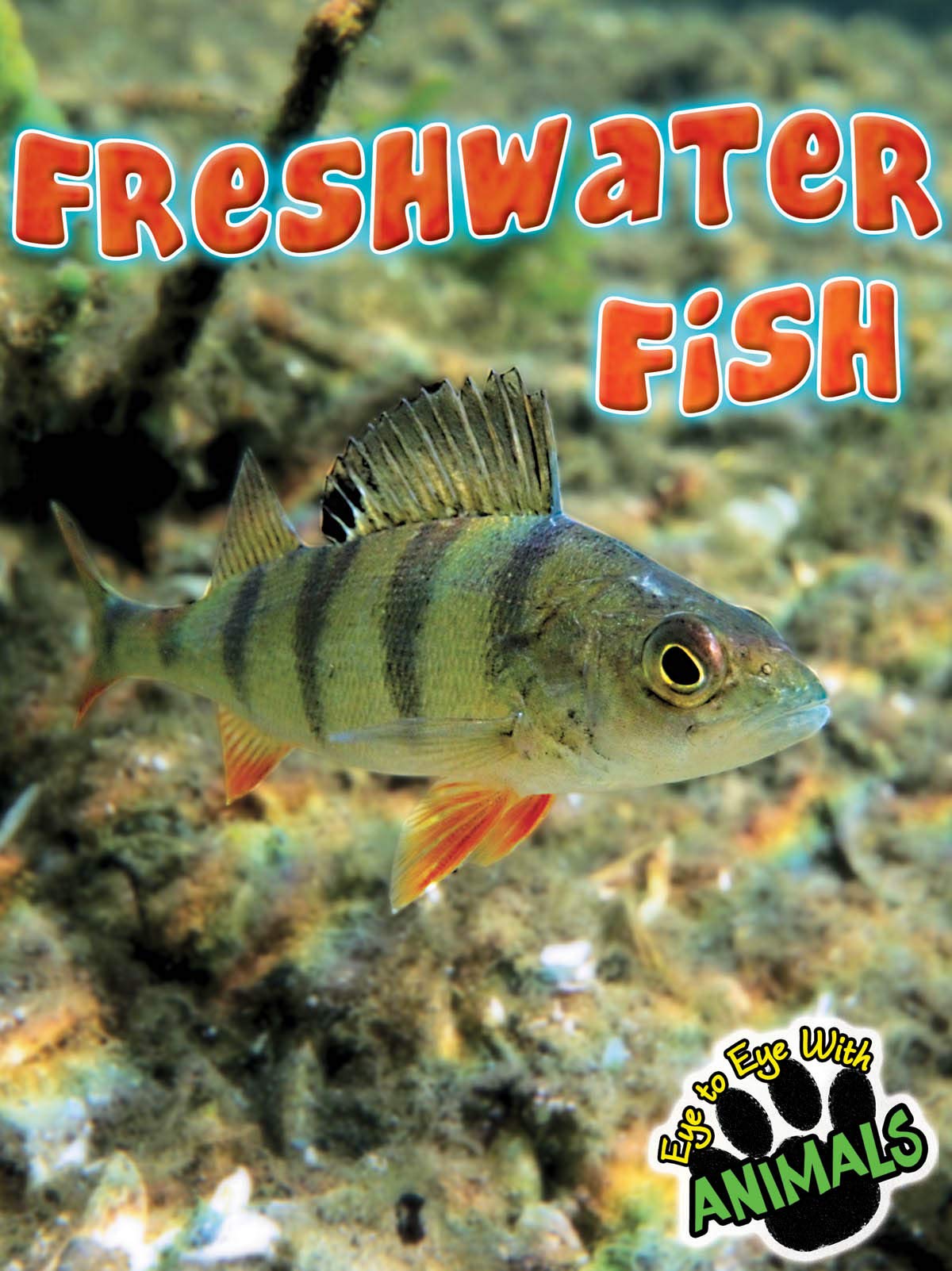 Buy Freshwater Fish (Eye to Eye With Animals) — BookShops.in