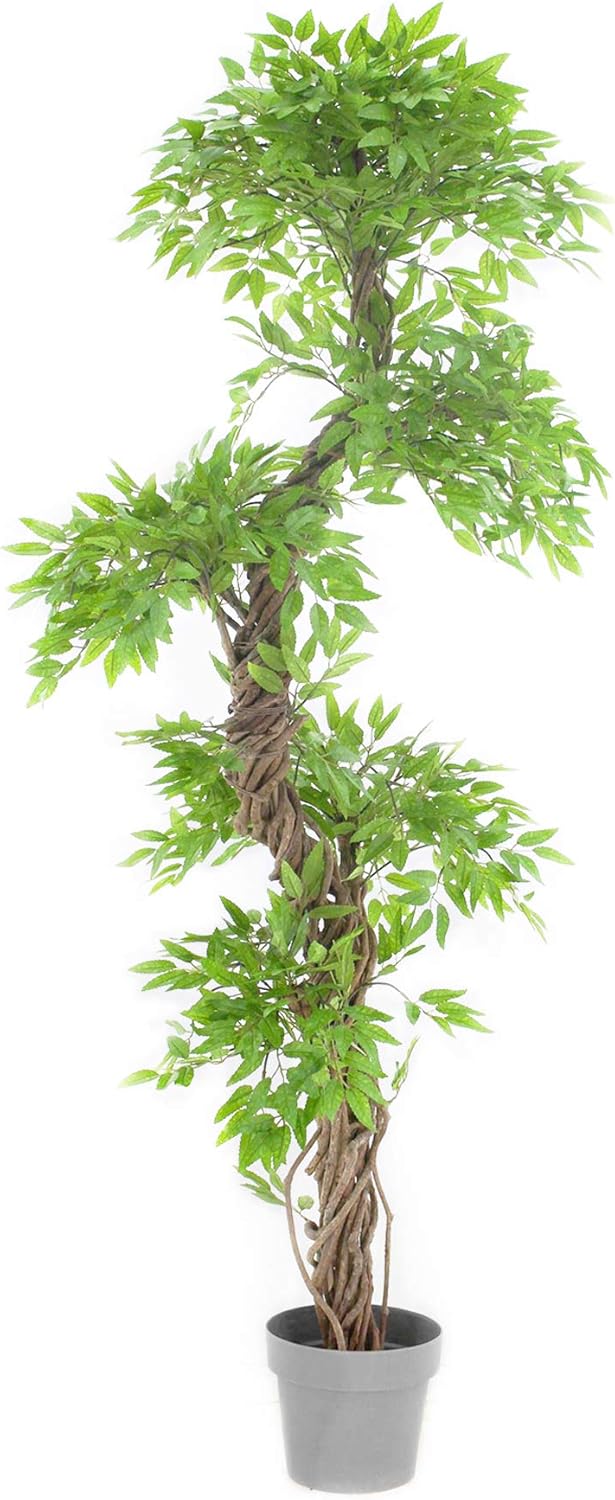 Luxury Artificial Japanese Fruticosa Tree, Stylish Indoor Plant 165cm Tall Artificial & Dried