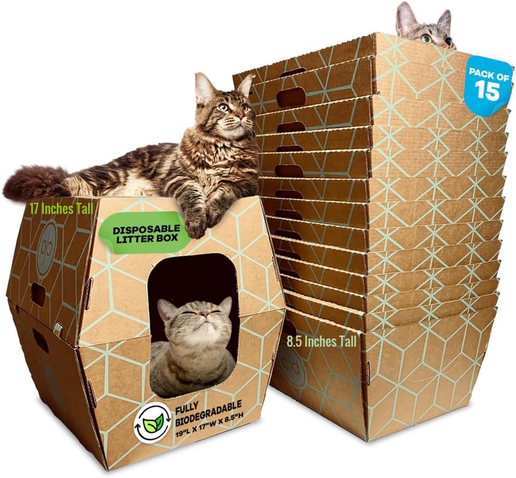 Tallest Disposable Cat Litter Box 15 Trays 2 Trays Litter Box Low Entry Original Patented Indentical Design19 Lx17 Wx8.5 17 in. Closed Box. Woman Lifelong Cat Care Sassy Uses Daily 14 yrs Made-US