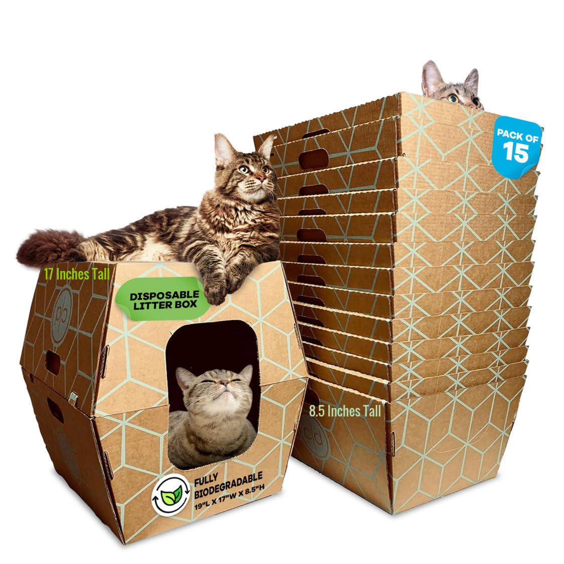 Largest Tallest Disposable Litter Box 15 Trays 2 Trays Litter Box Low Entry Original Patented Indentical Design19 Lx17 Wx8.5 17 in. Closed Box. Woman Owned. Sassy Cat Uses Daily 14 yrs Made in US
