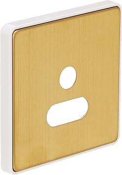 MK Dimensions 1 Gang 5A Round Pin Socket Satin Brass Finish Frontplate with a White Trim