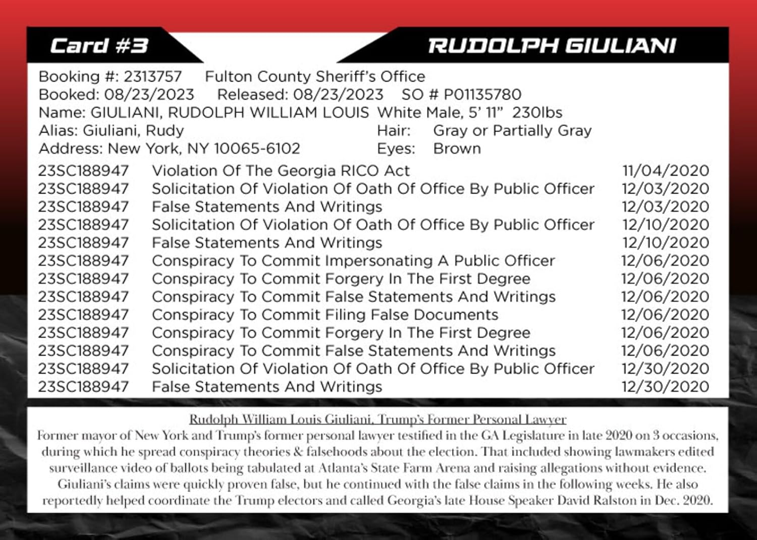 Georgia RICO Indictment Mugshot Trading Card Collection