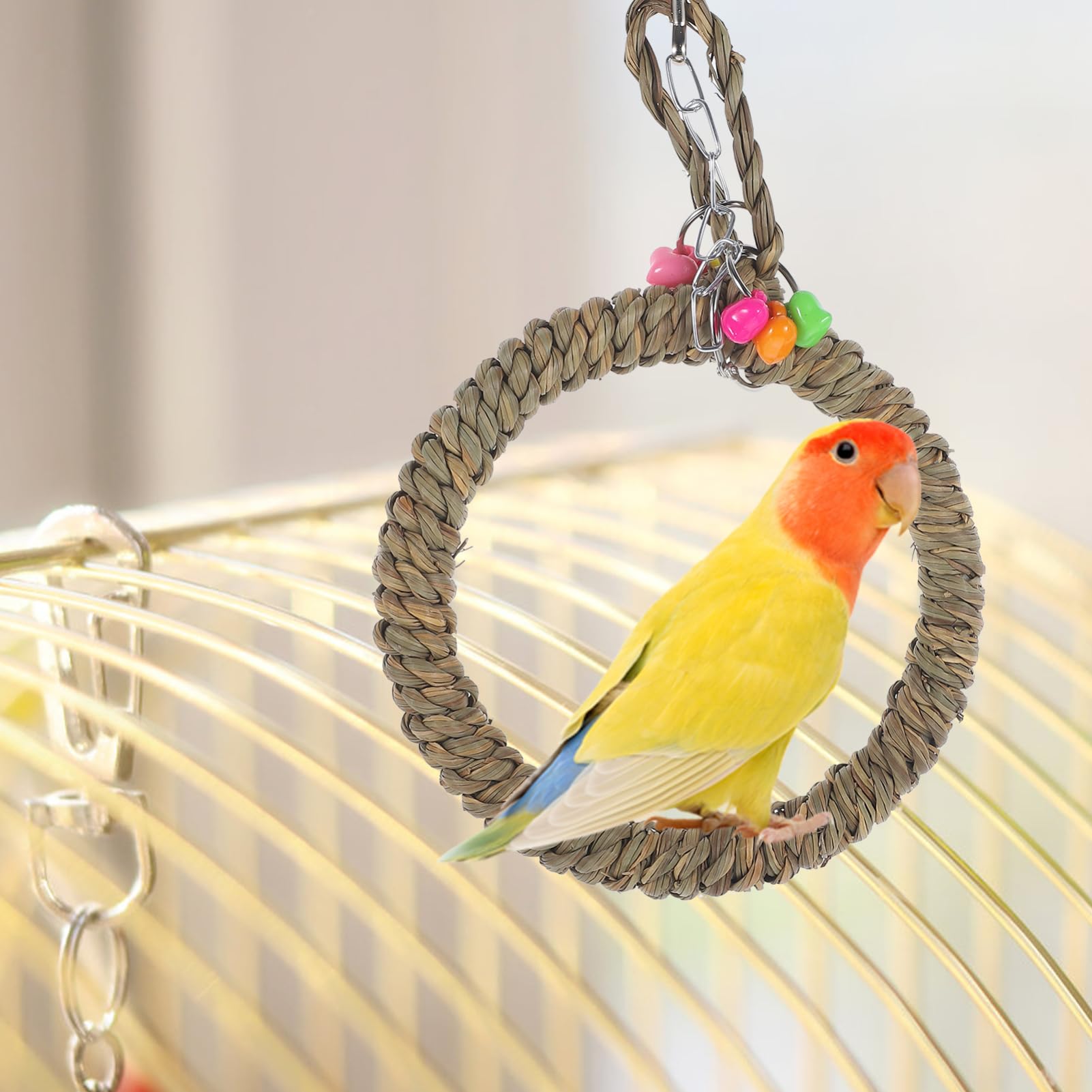 BESPORTBLE 5pezzi Altalena Decorativa Per Pappagalli Trespolo Da Appendere Per Uccelli Gioco Divertente e Resistente Per Parrocchetti e Cockatiel Accessorio Per Benessere Degli Uccelli