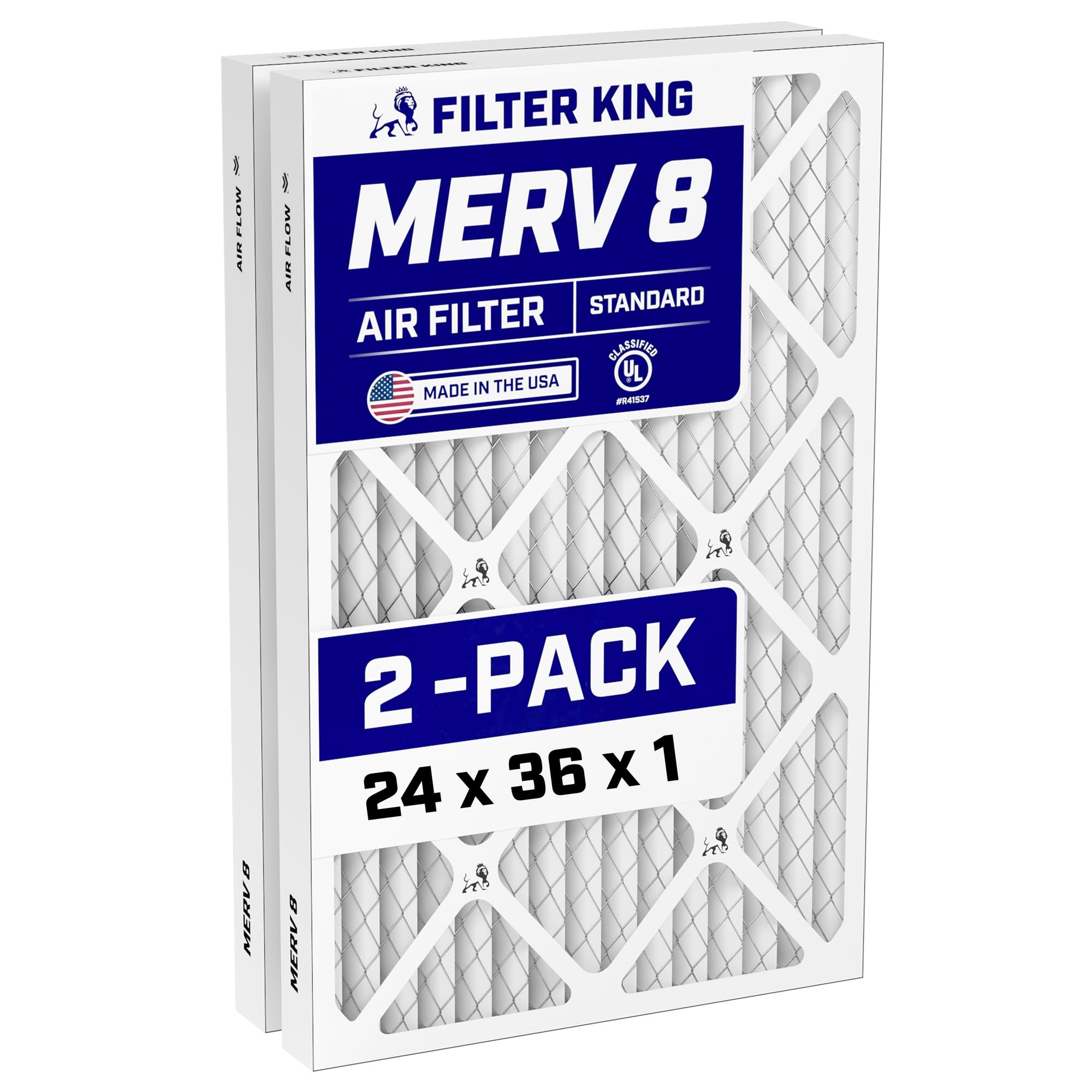 Filter King 24x36x1 2-pack