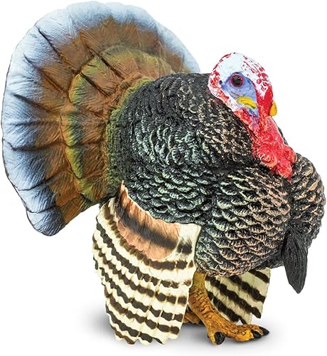 Safari Ltd Safari granja Turquía macho