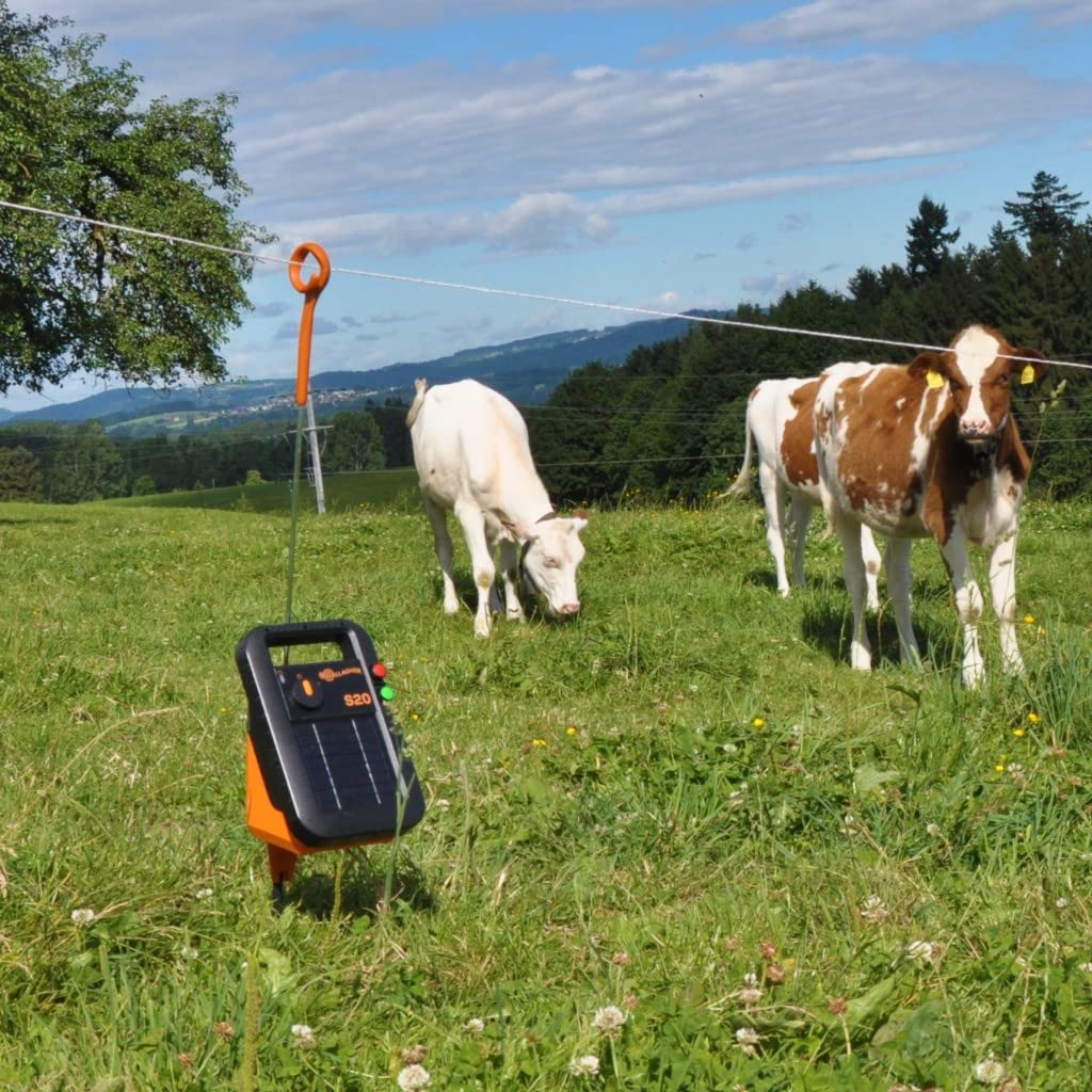 Gallagher - Elettrificatore S20 con batteria inclusa + Supporto libero