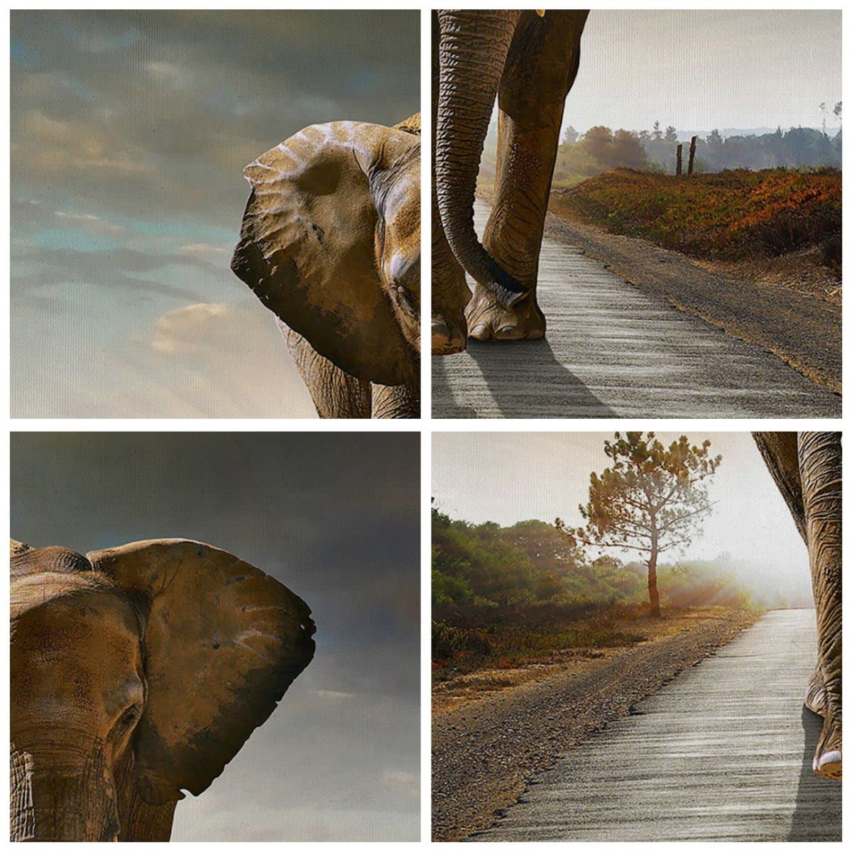 Stampa Su Tela Elefante Sulla Strada 60x40 Cm, Quadro Moderno Per Parete Con Cornice