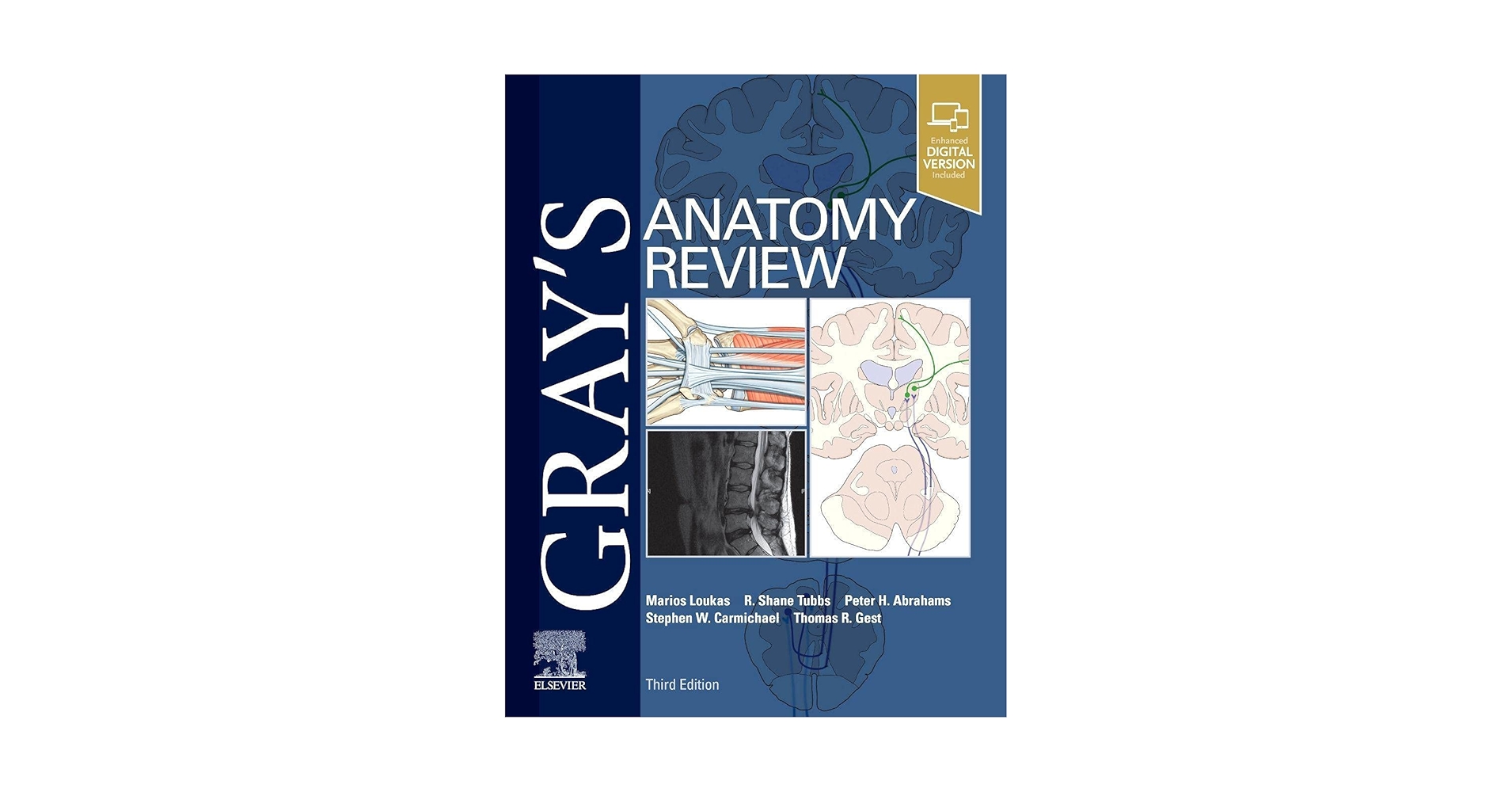 Gray's Anatomy 第39版 Gray's Anatomy: The Anatomical Basis of Clinical Practice
