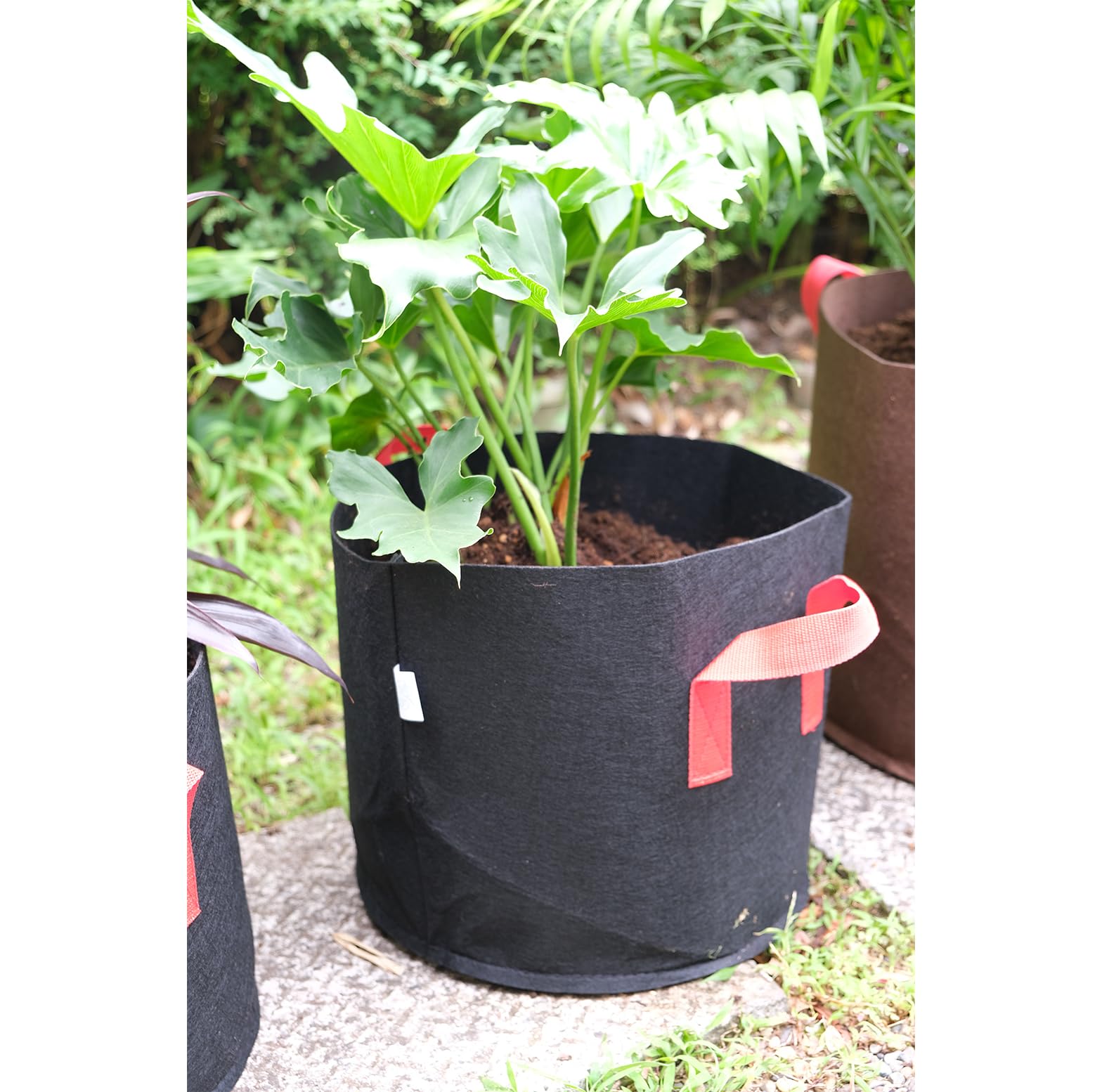 Amazon.co.jp: YNAK 不織布プランター 植木 鉢 園芸 花 野菜 植物 栽培 
