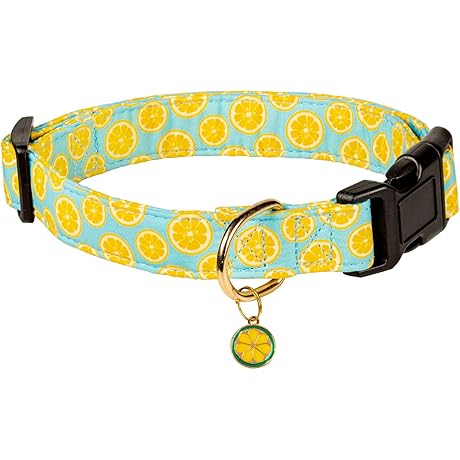 Summer Lemon Pattern Cute Cotton Dog Collar for Dogs